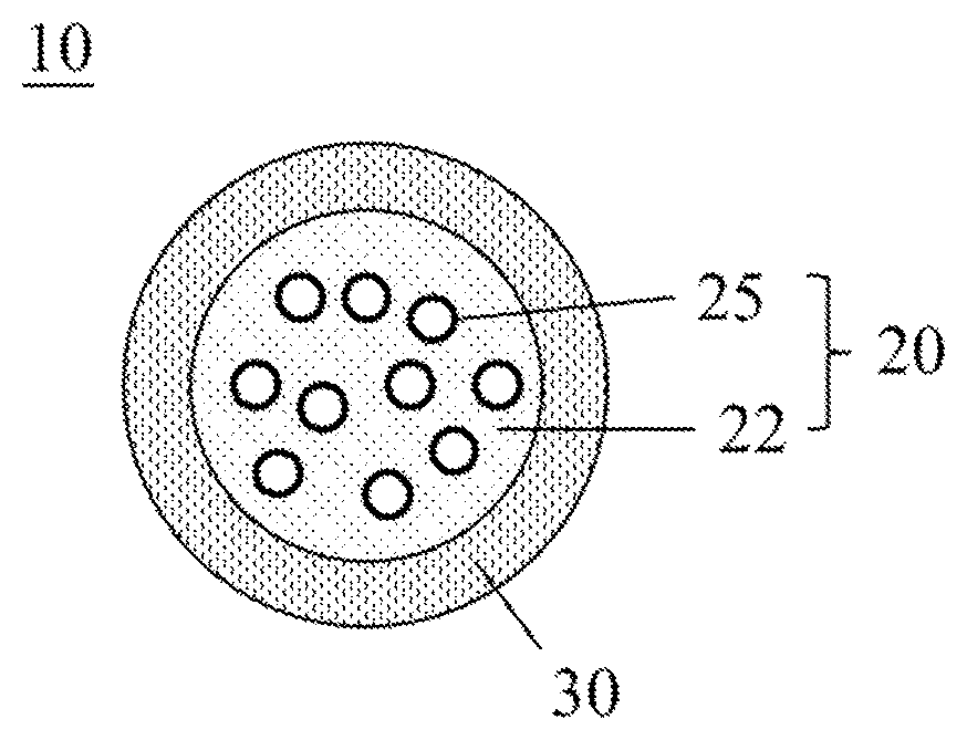 Patent US12618094 — Core-shell nanoparticles, methods of producing the same, and uses thereof for detecting extracellular polymeric substances — Figure 1