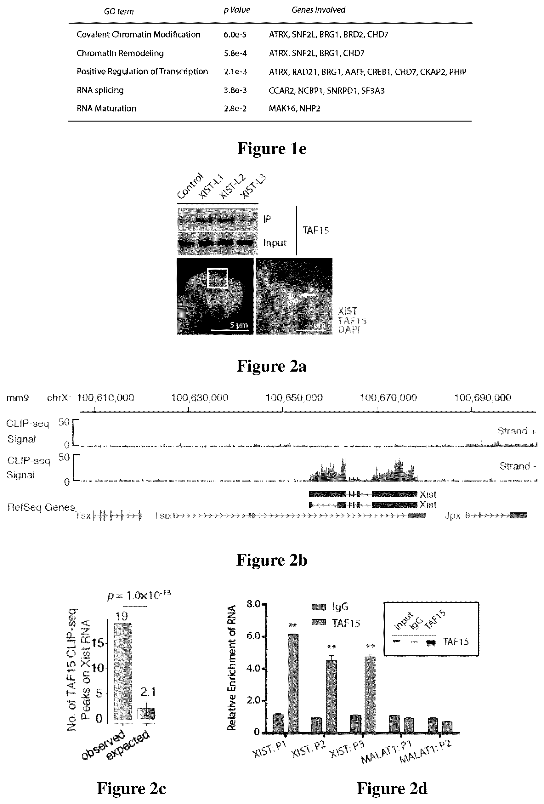Patent US12618097 Figure 2 – Method for determining long non-coding ribonucleic acid interaction proteins