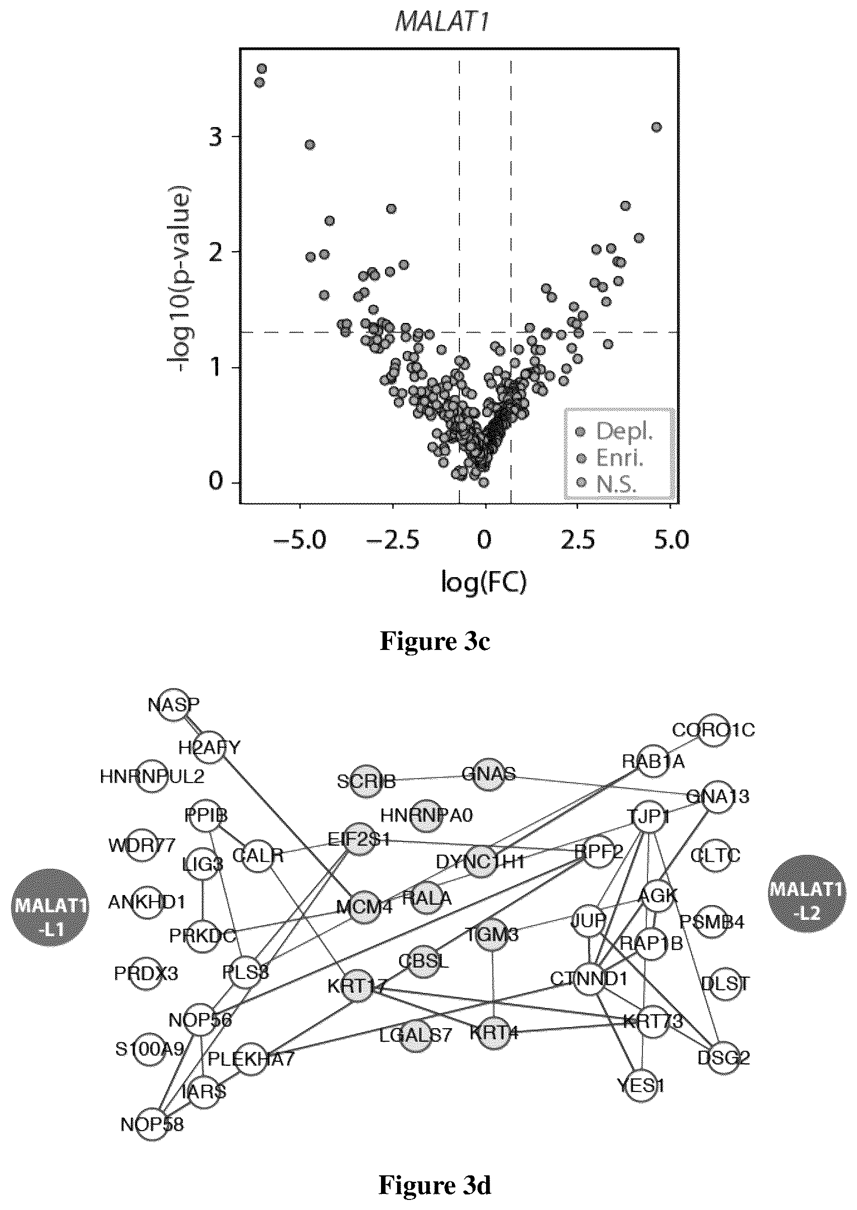 Patent US12618097 Figure 5 – Method for determining long non-coding ribonucleic acid interaction proteins