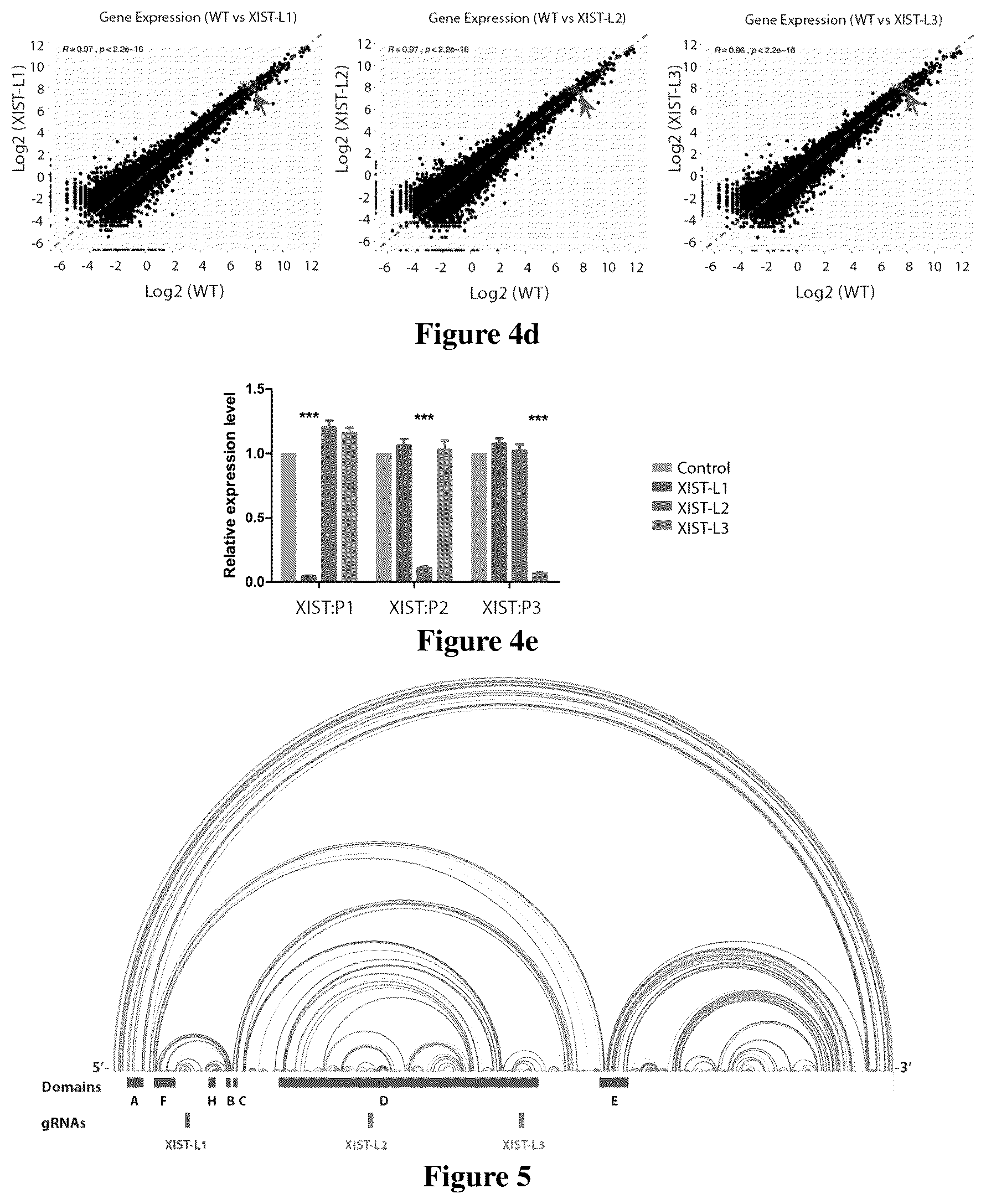 Patent US12618097 Figure 7 – Method for determining long non-coding ribonucleic acid interaction proteins