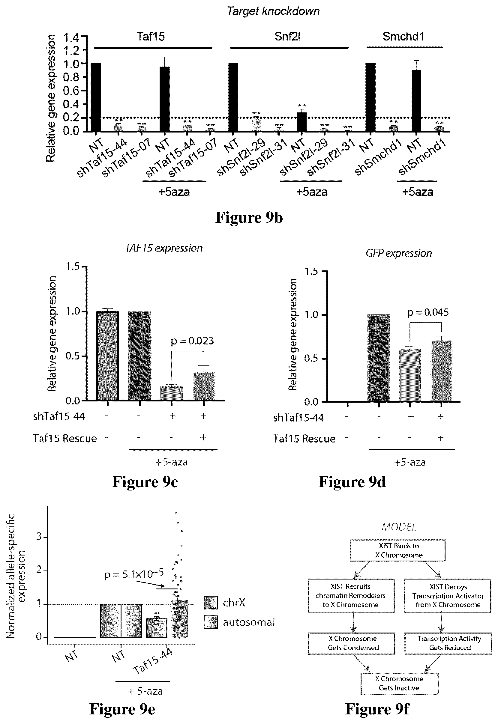 Patent US12618097 Figure 11 – Method for determining long non-coding ribonucleic acid interaction proteins