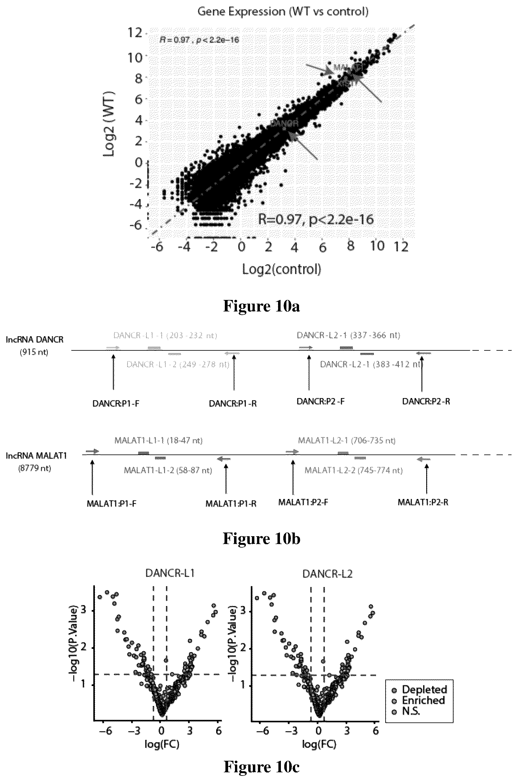 Patent US12618097 Figure 12 – Method for determining long non-coding ribonucleic acid interaction proteins