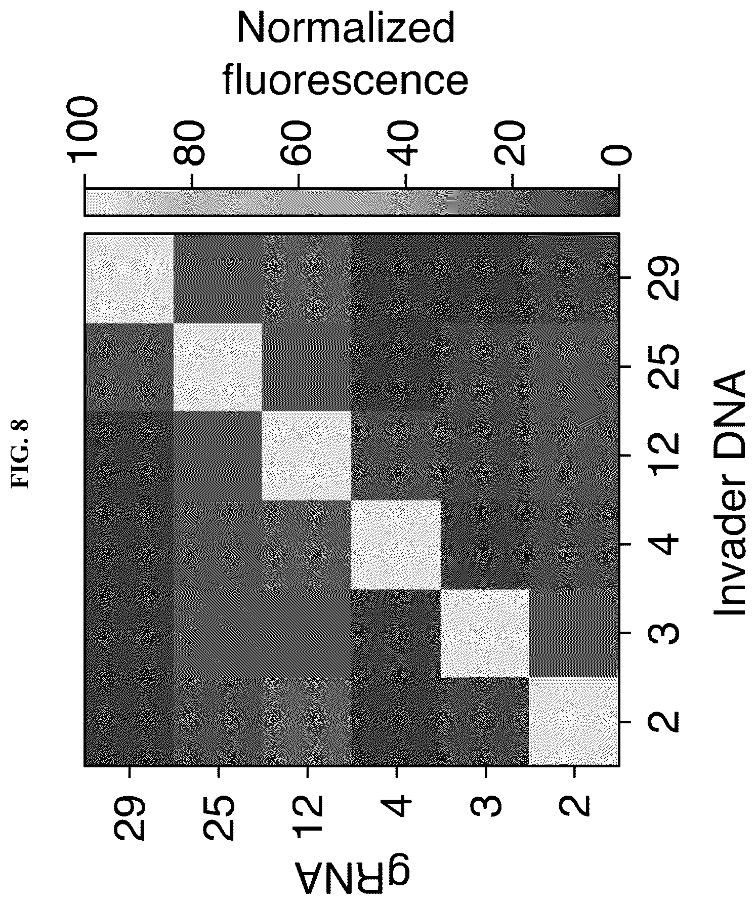 Patent US12618098 Figure 12 – Proximity-driven activation of CRISPR-Cas systems for detection of diverse molecular analytes