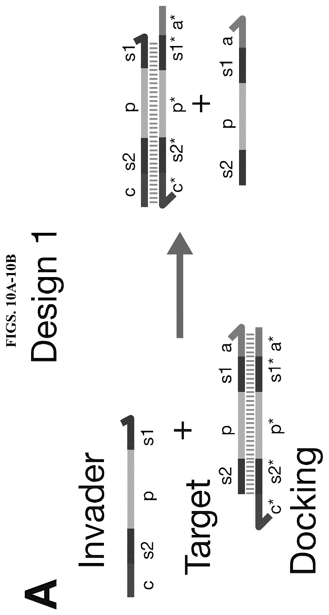 Patent US12618098 Figure 14 – Proximity-driven activation of CRISPR-Cas systems for detection of diverse molecular analytes