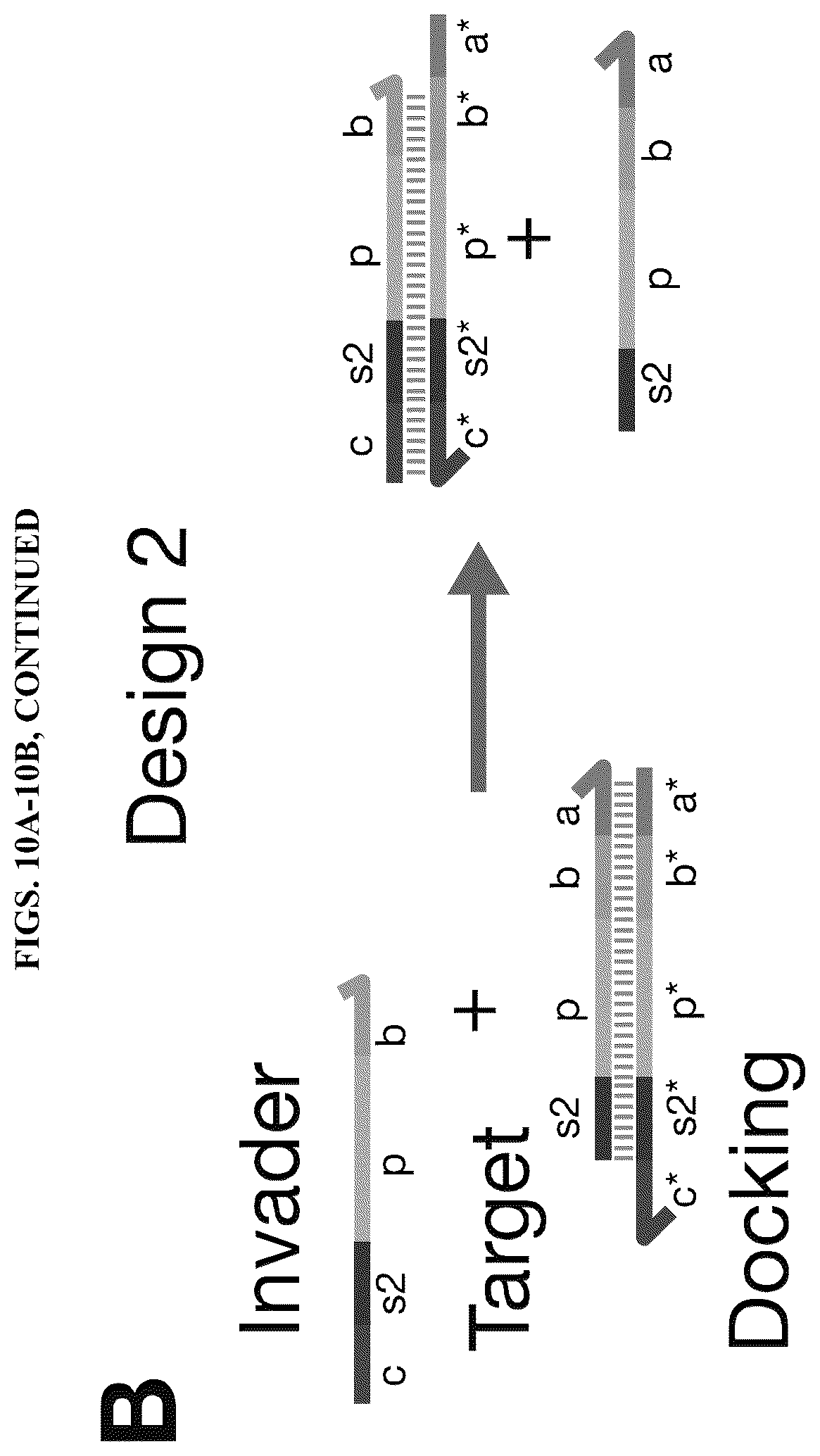 Patent US12618098 Figure 15 – Proximity-driven activation of CRISPR-Cas systems for detection of diverse molecular analytes
