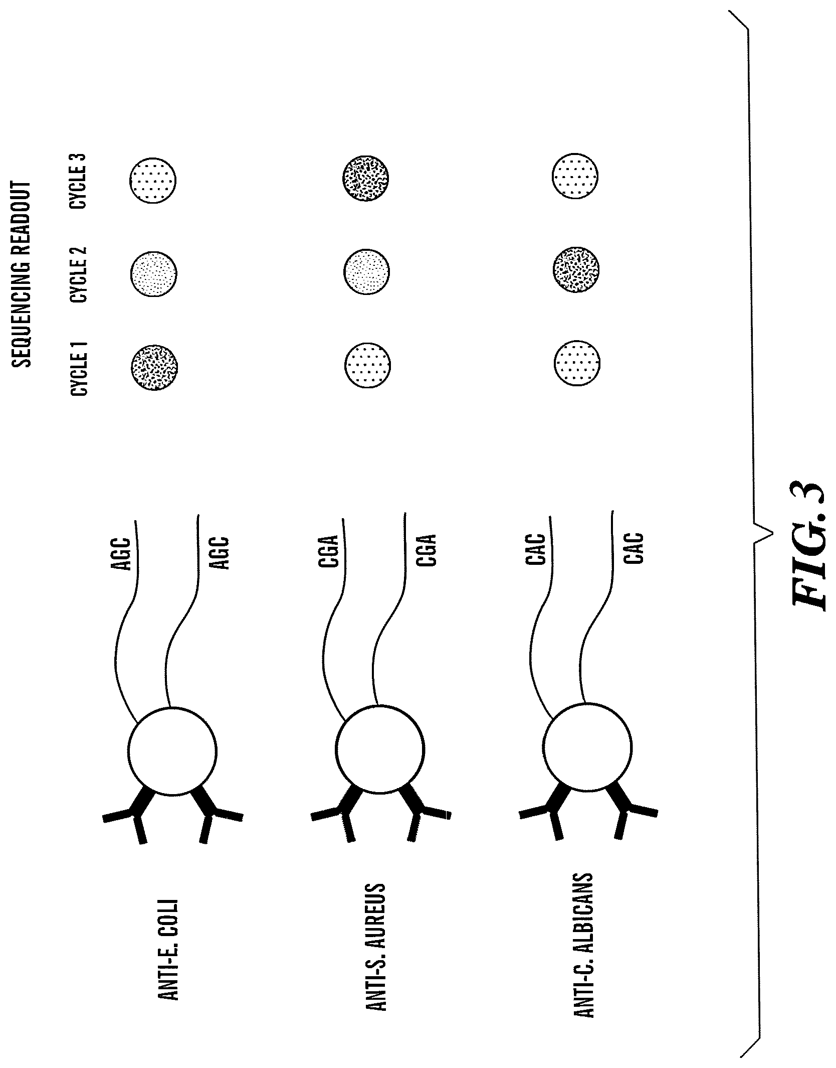 Patent US12618099 Figure 3 – Compositions and methods for analyte detection