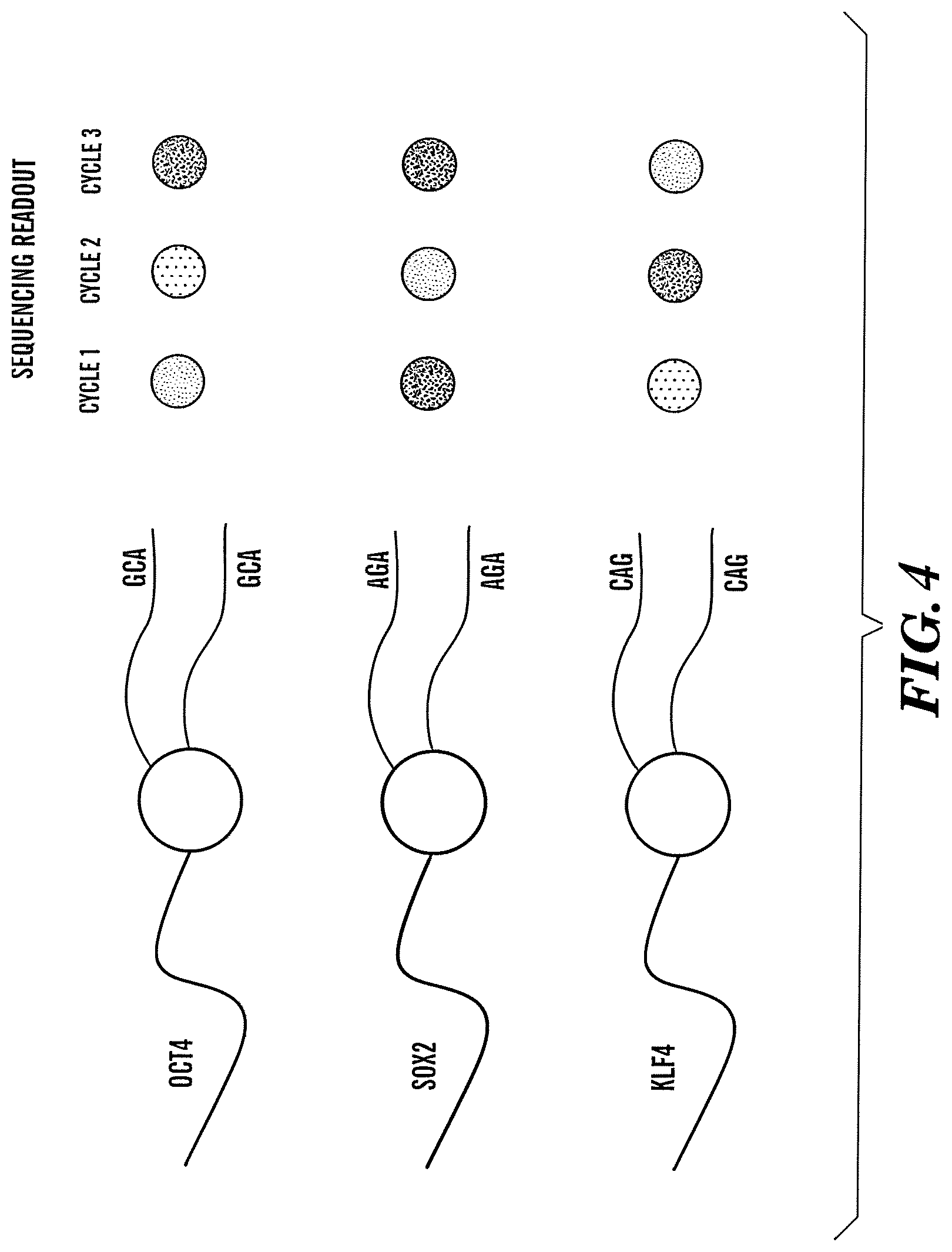 Patent US12618099 Figure 4 – Compositions and methods for analyte detection