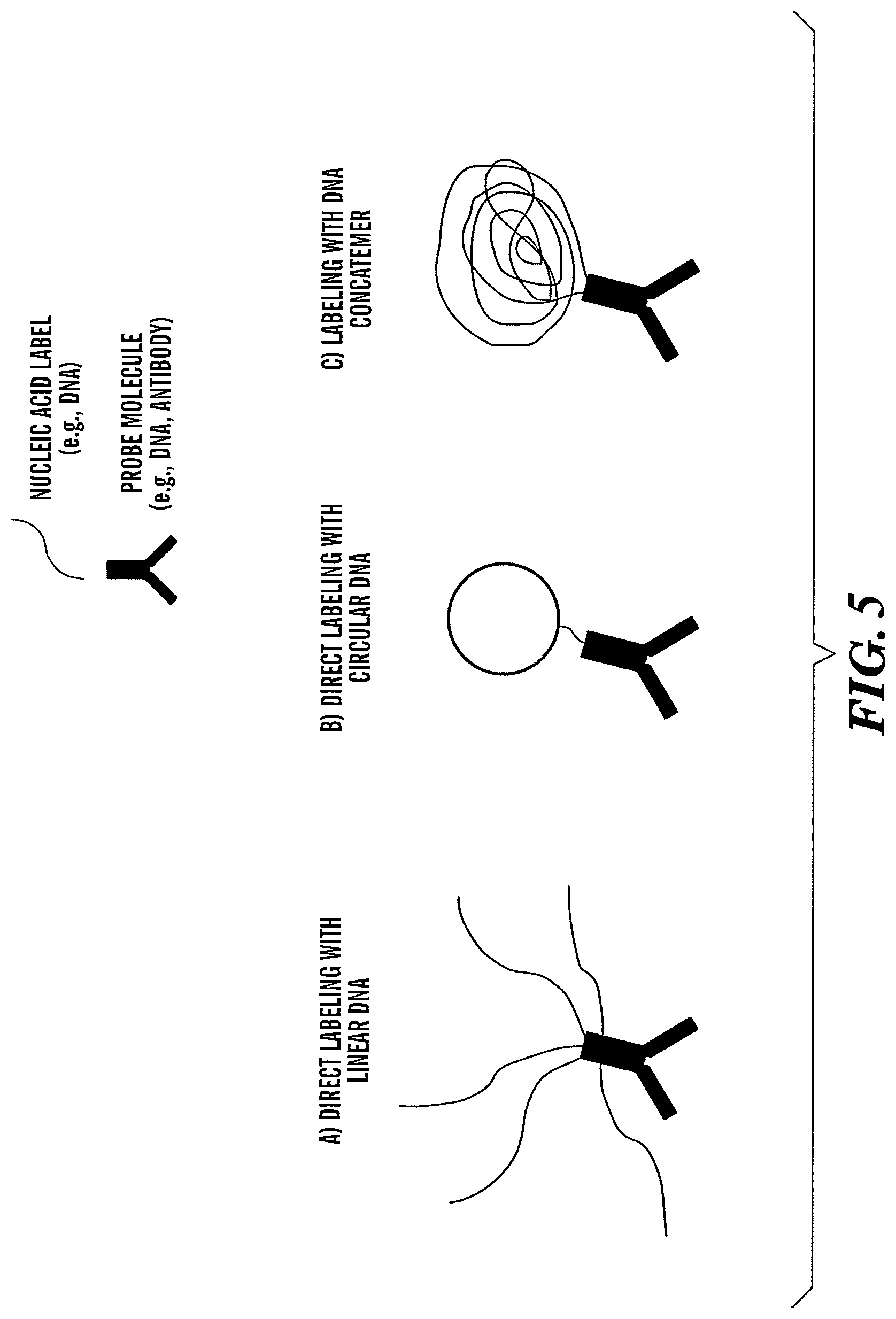Patent US12618099 Figure 5 – Compositions and methods for analyte detection