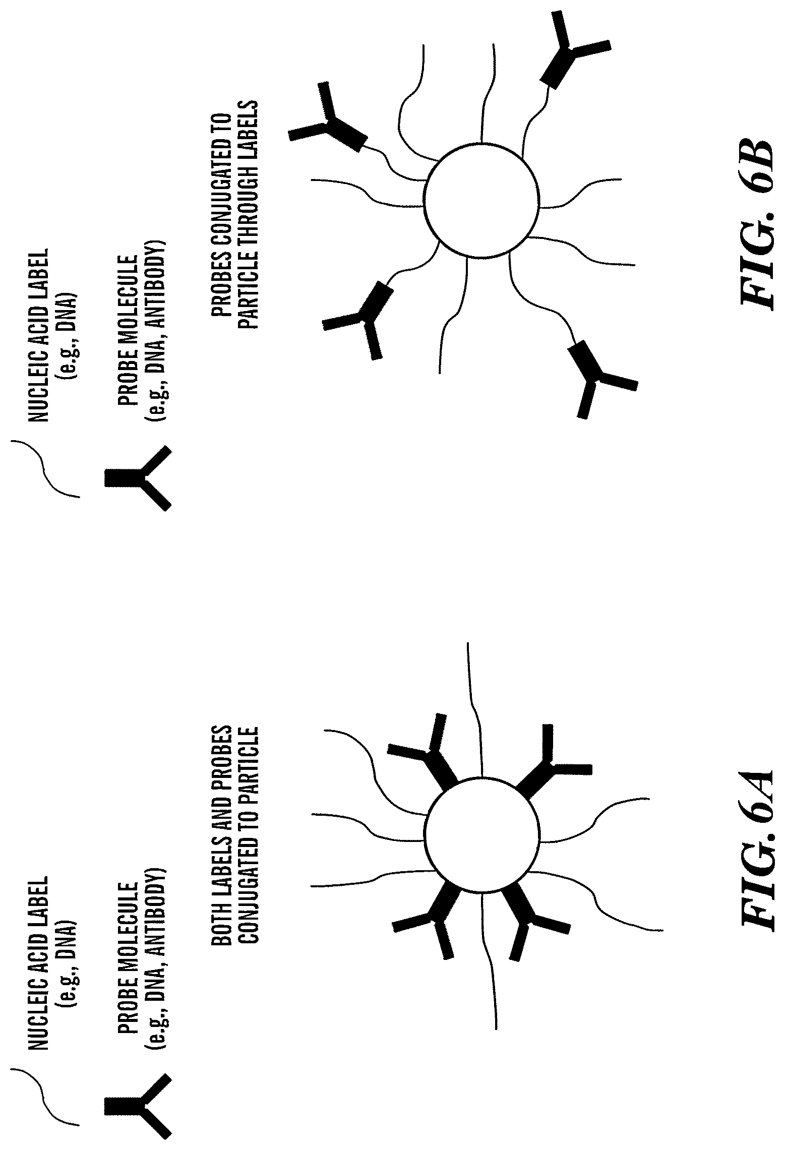 Patent US12618099 Figure 6 – Compositions and methods for analyte detection