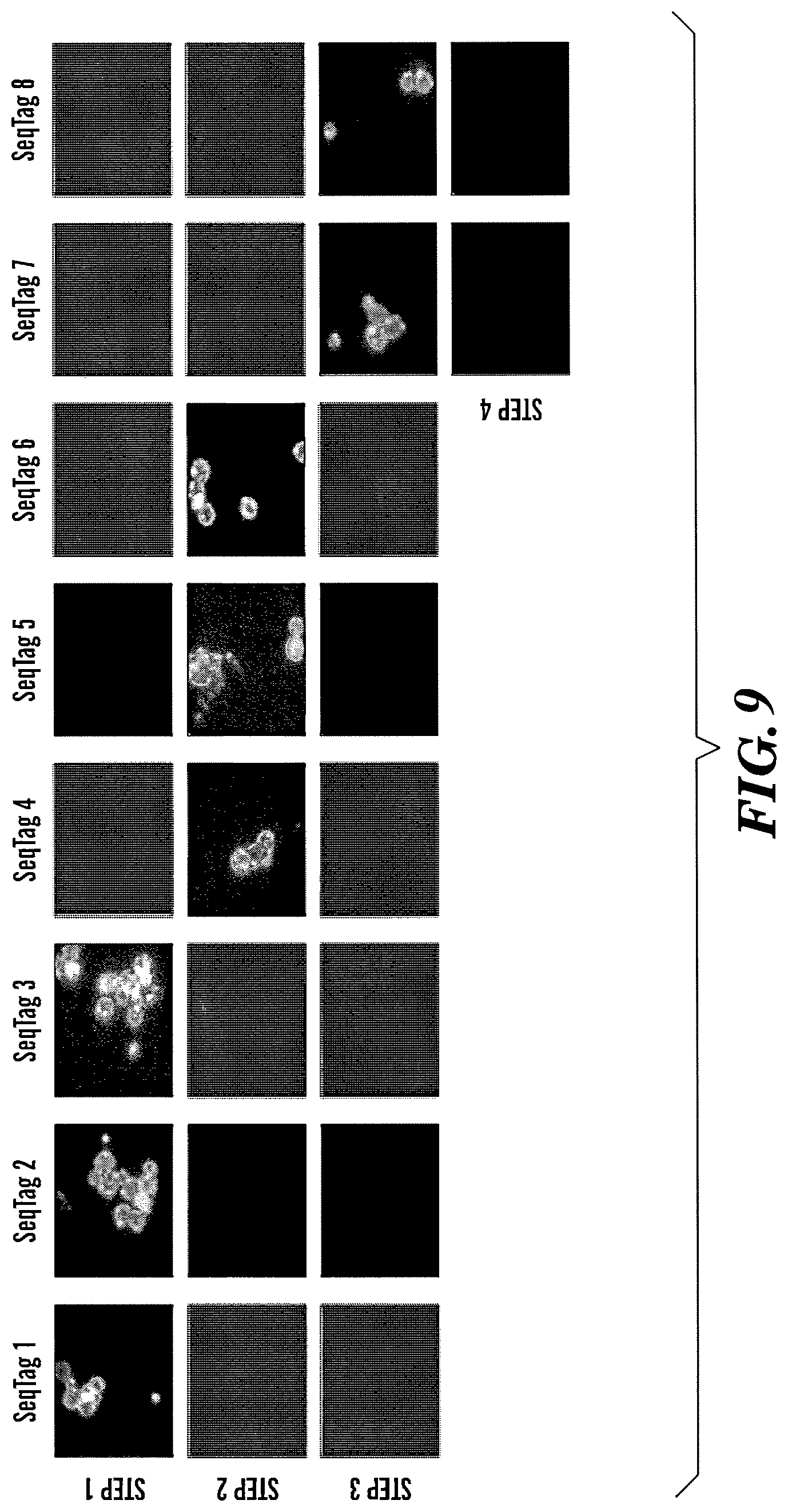 Patent US12618099 Figure 9 – Compositions and methods for analyte detection