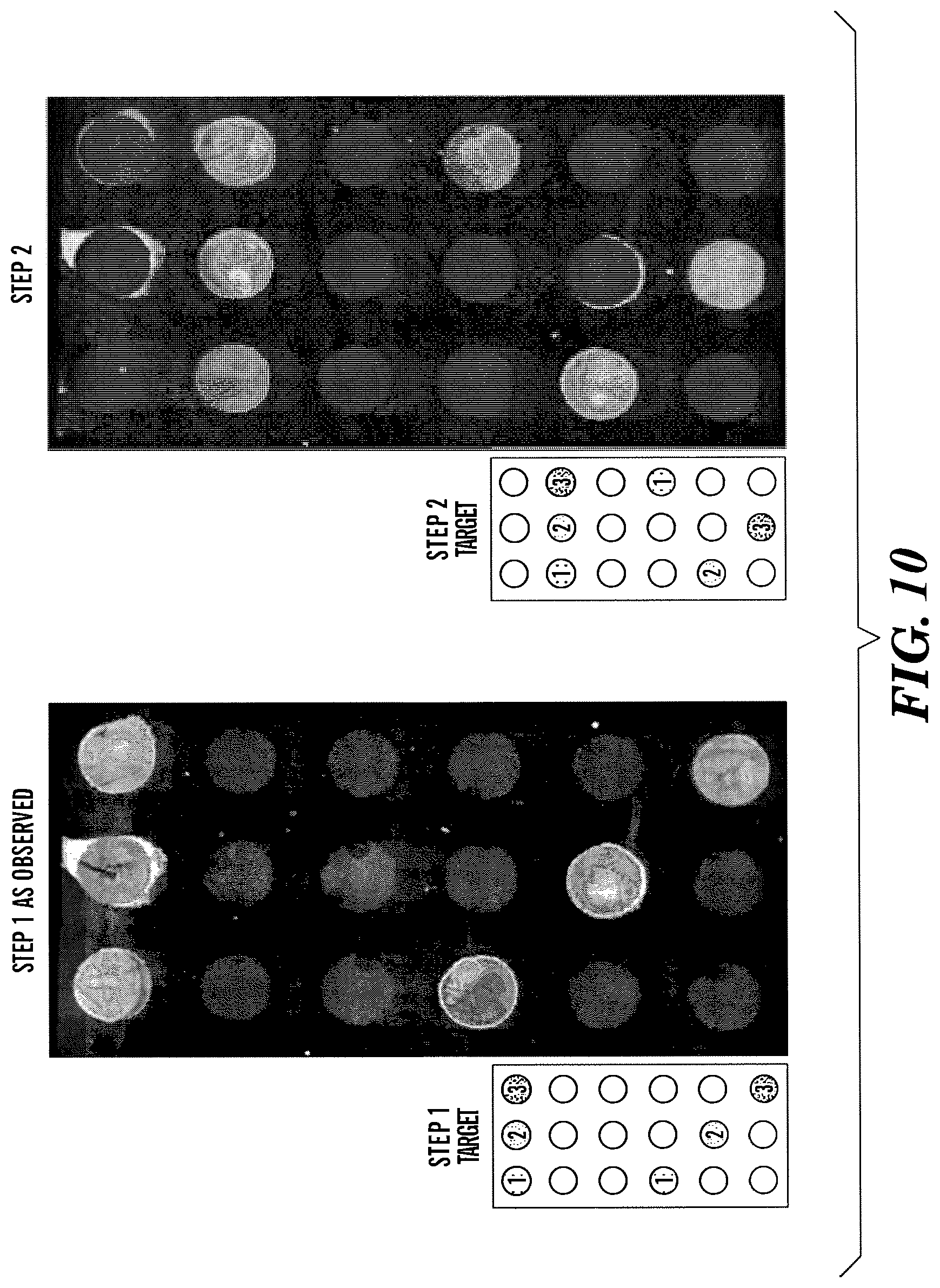 Patent US12618099 Figure 10 – Compositions and methods for analyte detection