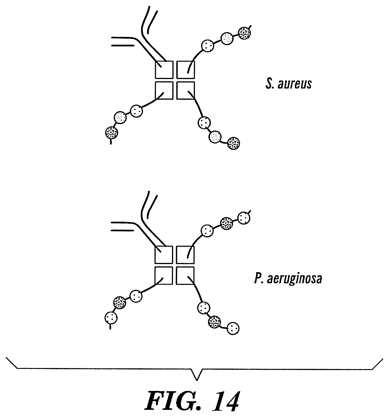 Patent US12618099 Figure 13 – Compositions and methods for analyte detection