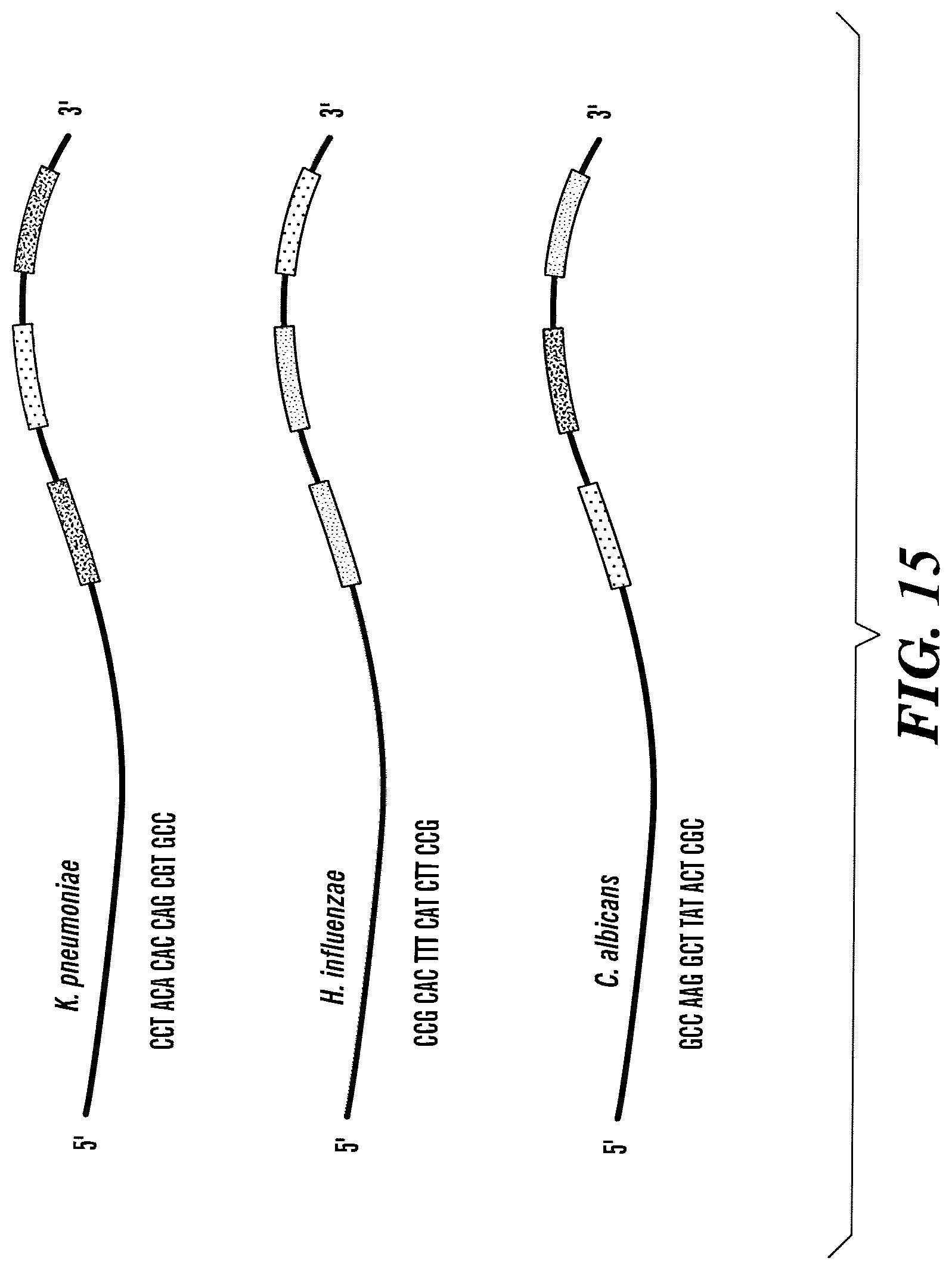 Patent US12618099 Figure 14 – Compositions and methods for analyte detection