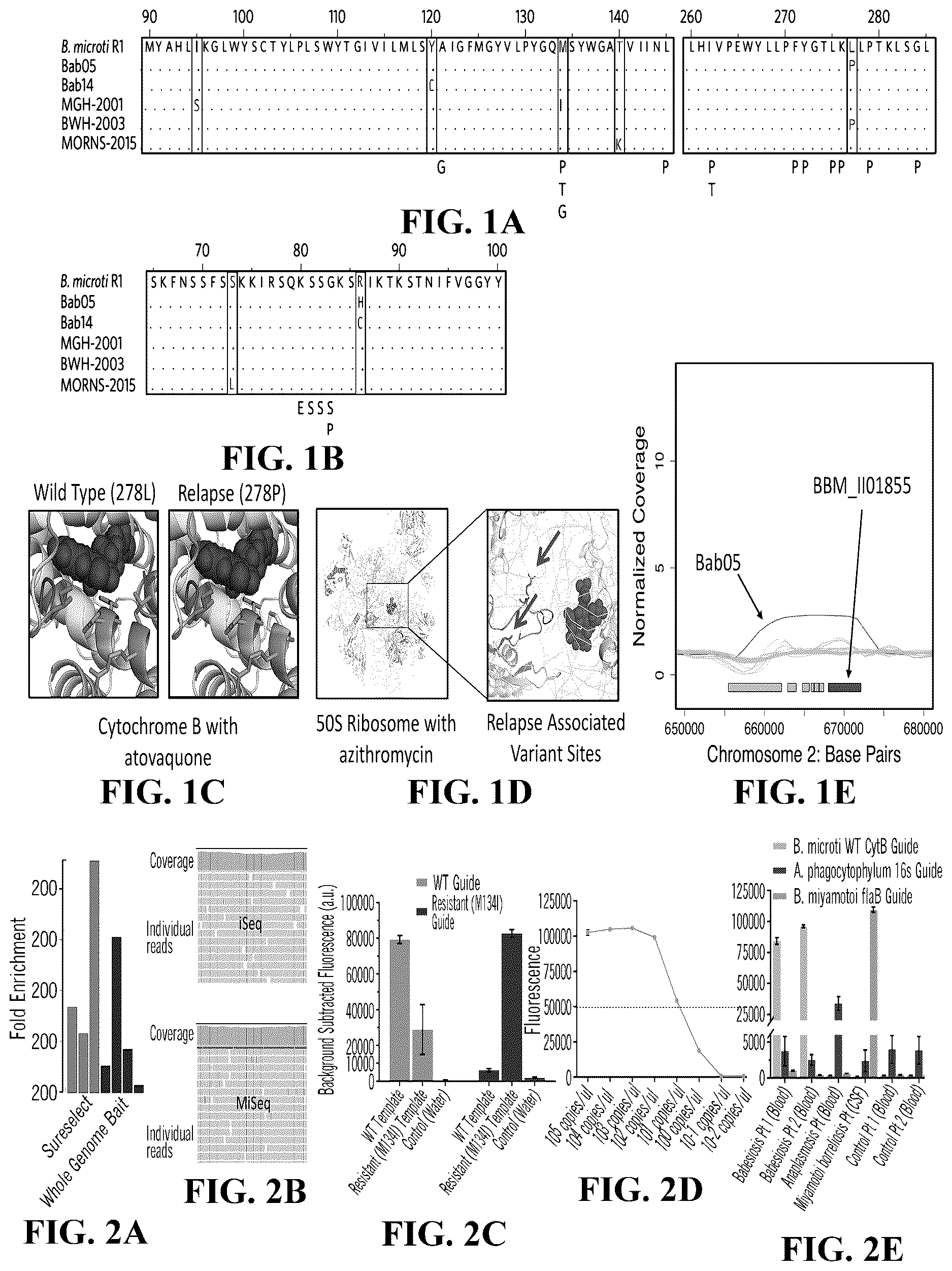 Patent US12618101 — Sherlock assays for tick-borne diseases — Figure 1