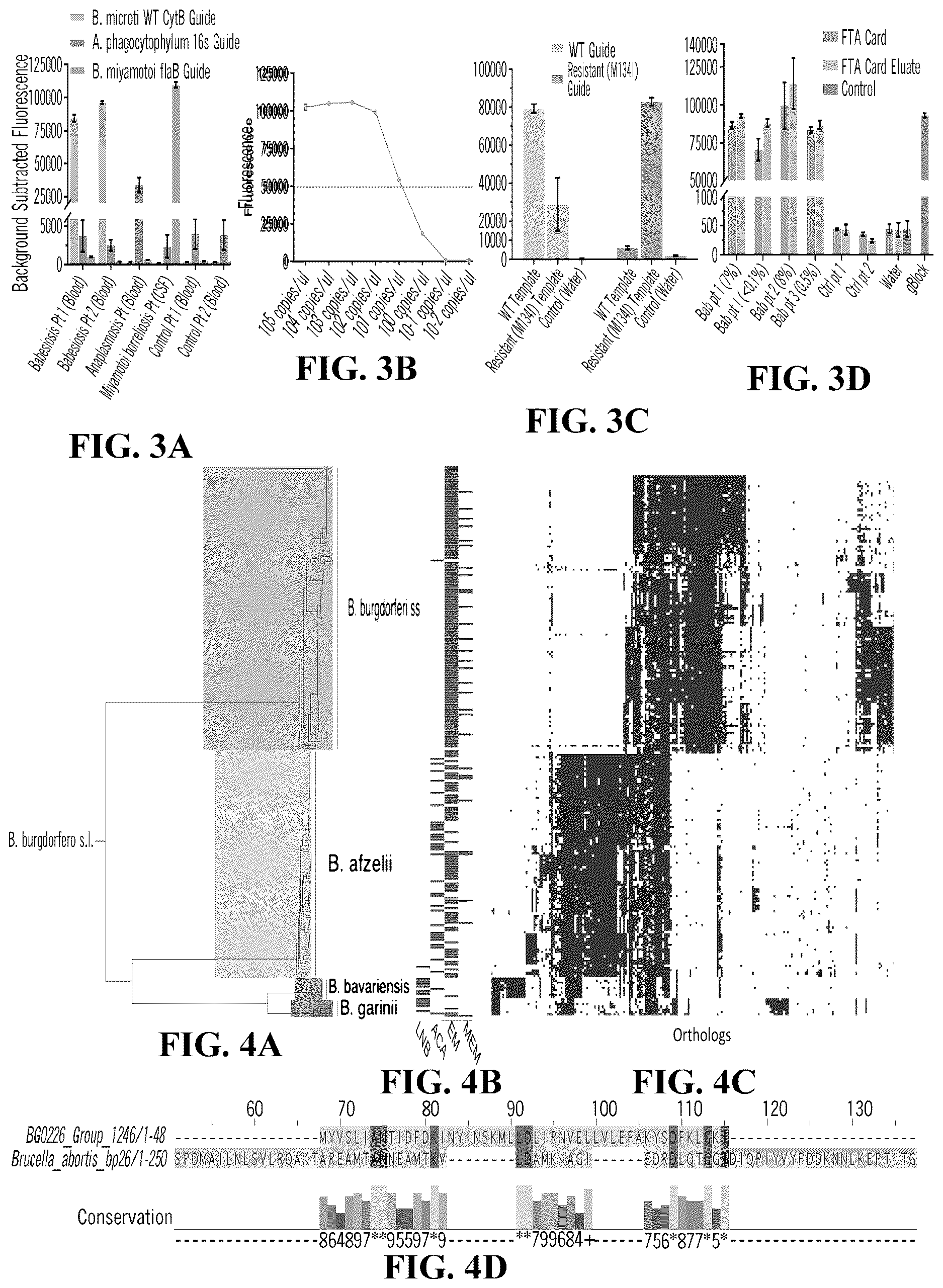 Patent US12618101 Figure 2 – Sherlock assays for tick-borne diseases
