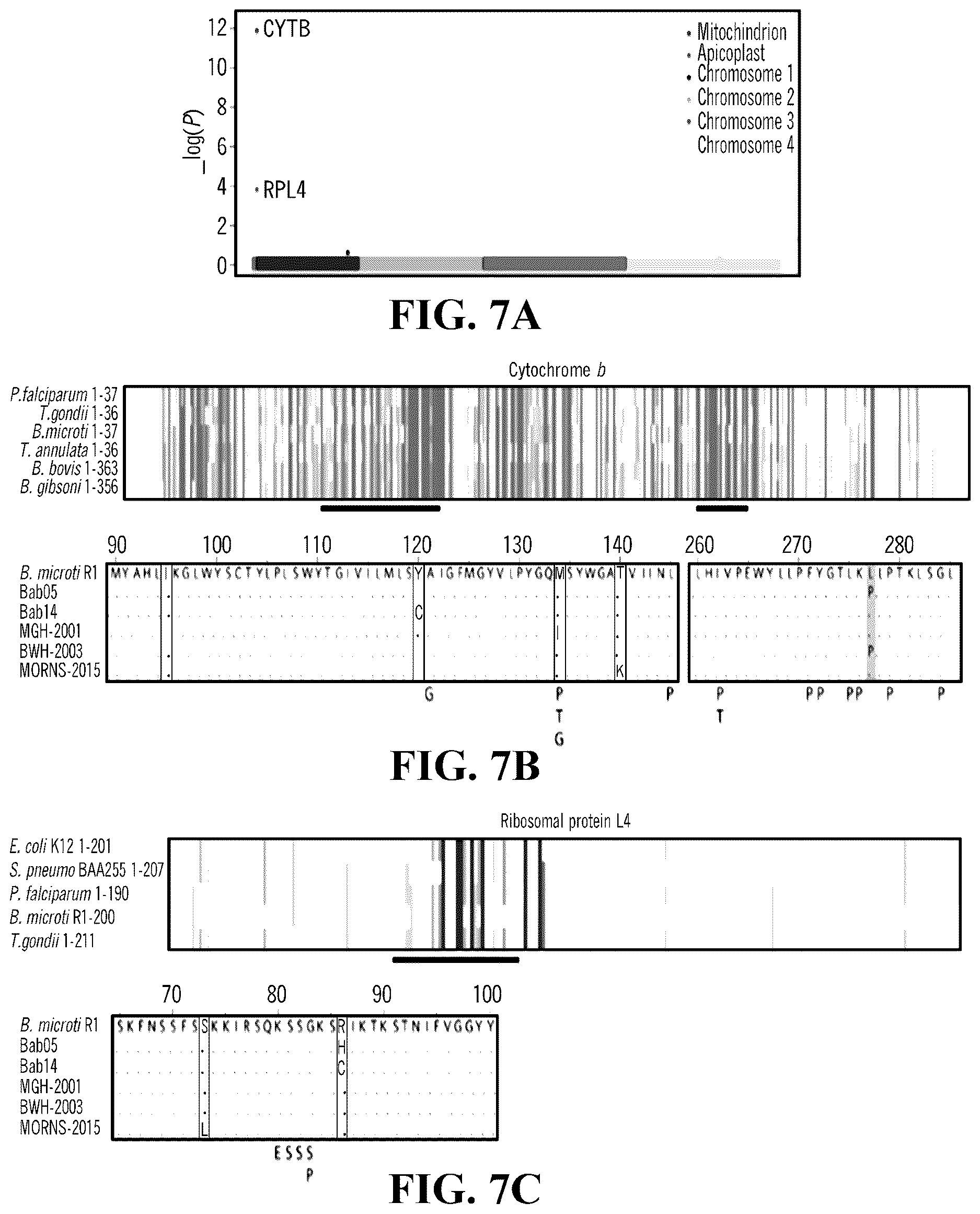 Patent US12618101 Figure 5 – Sherlock assays for tick-borne diseases