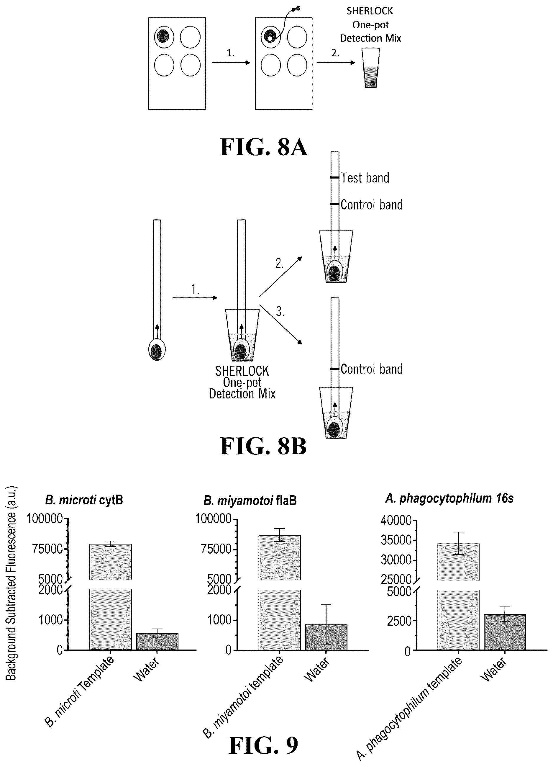 Patent US12618101 Figure 6 – Sherlock assays for tick-borne diseases