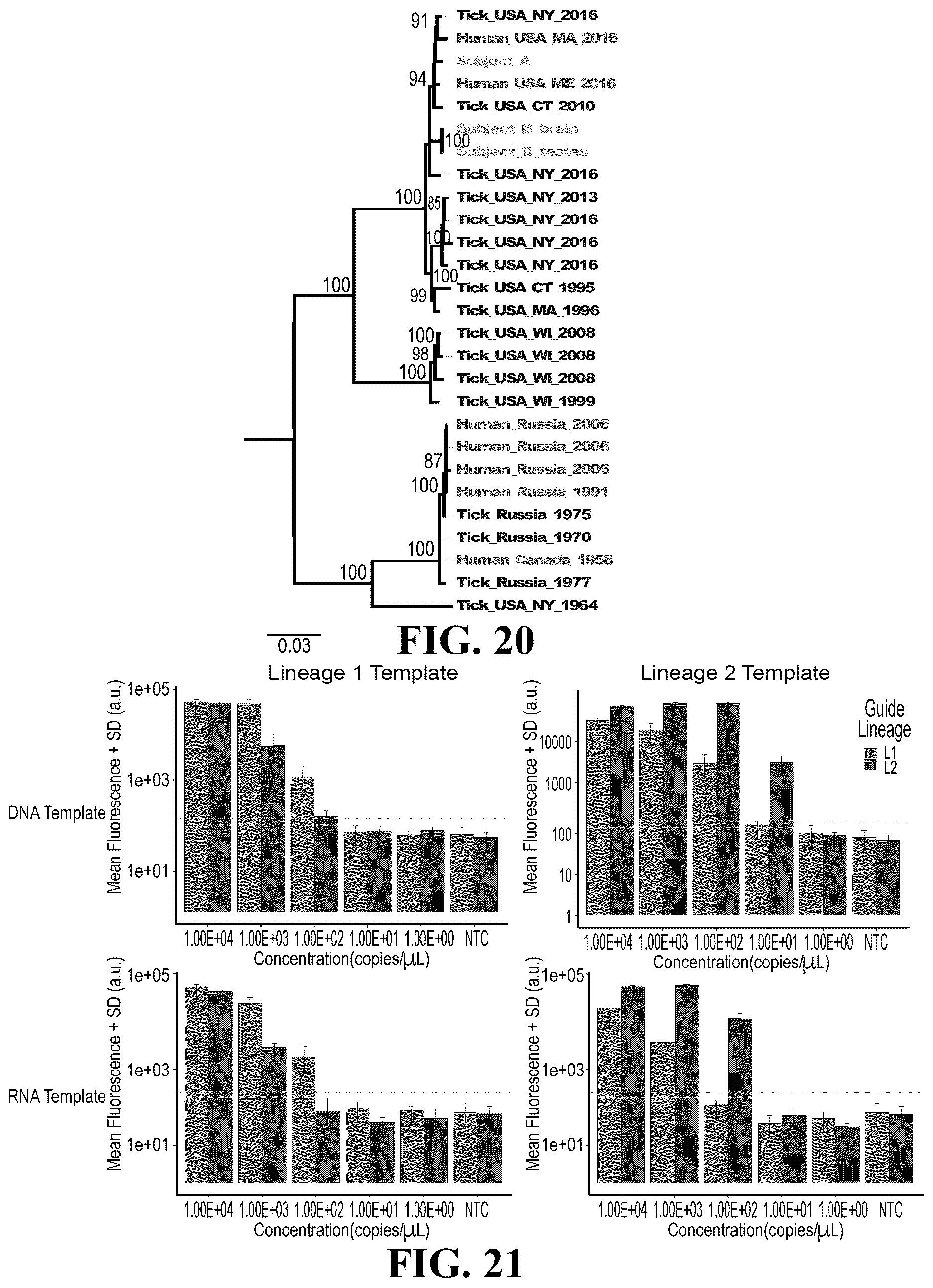 Patent US12618101 Figure 13 – Sherlock assays for tick-borne diseases