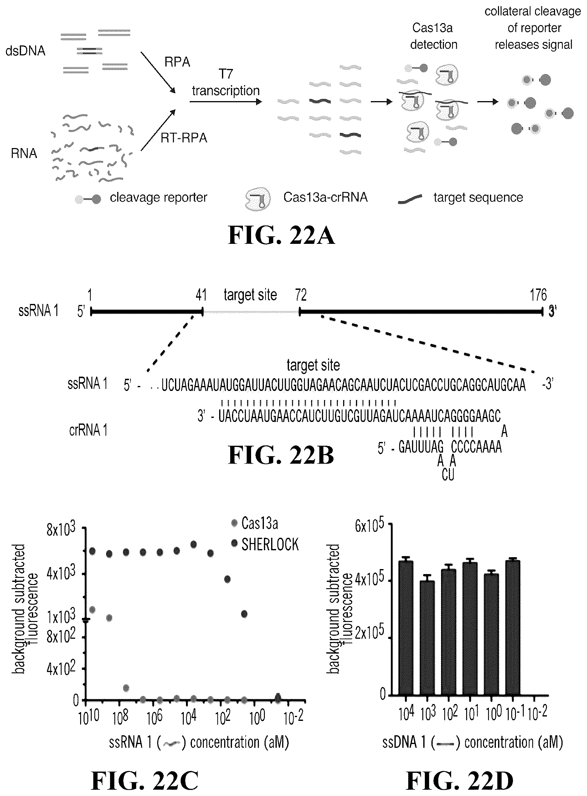 Patent US12618101 Figure 14 – Sherlock assays for tick-borne diseases