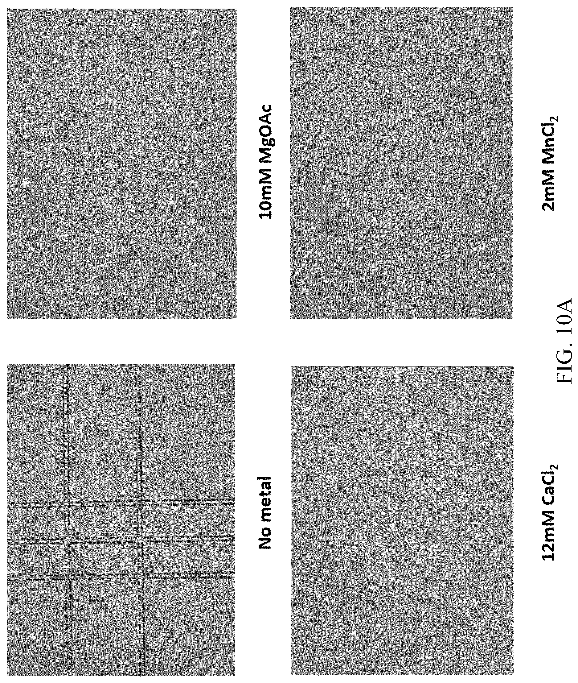 Patent US12618102 Figure 15 – Biochemical reaction methods and reagents comprising intrinsically disordered regions