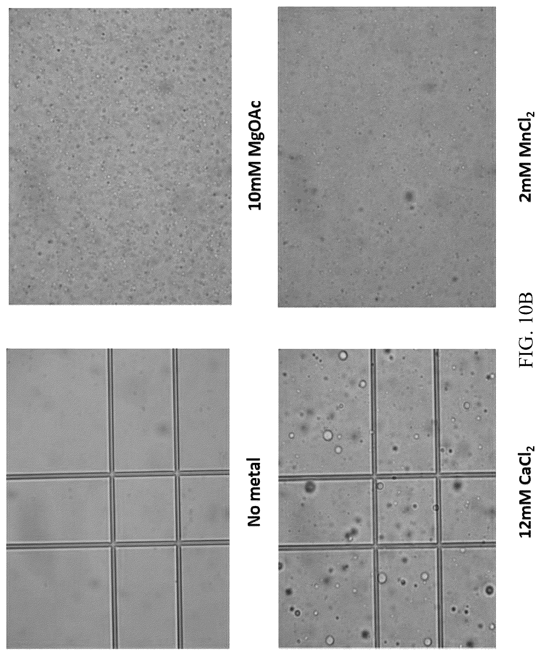 Patent US12618102 Figure 16 – Biochemical reaction methods and reagents comprising intrinsically disordered regions