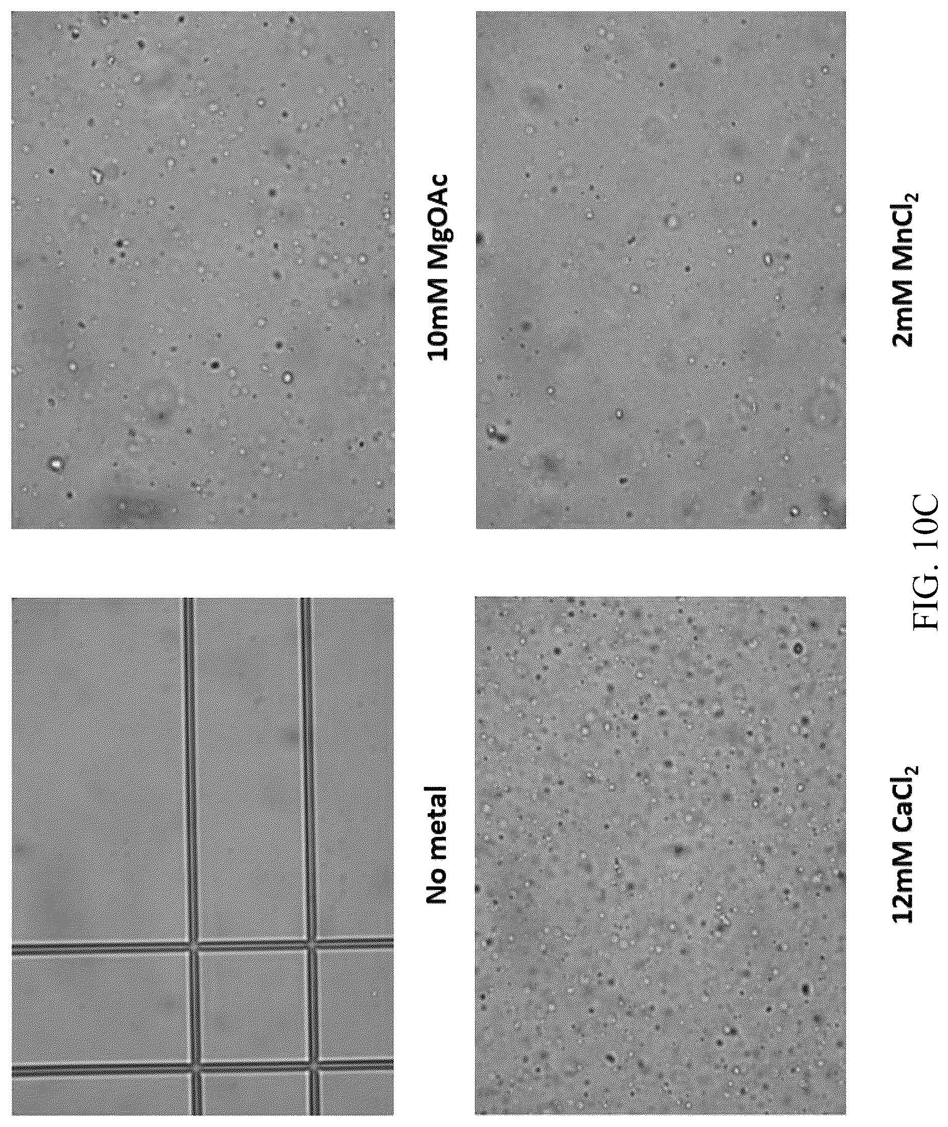 Patent US12618102 Figure 17 – Biochemical reaction methods and reagents comprising intrinsically disordered regions