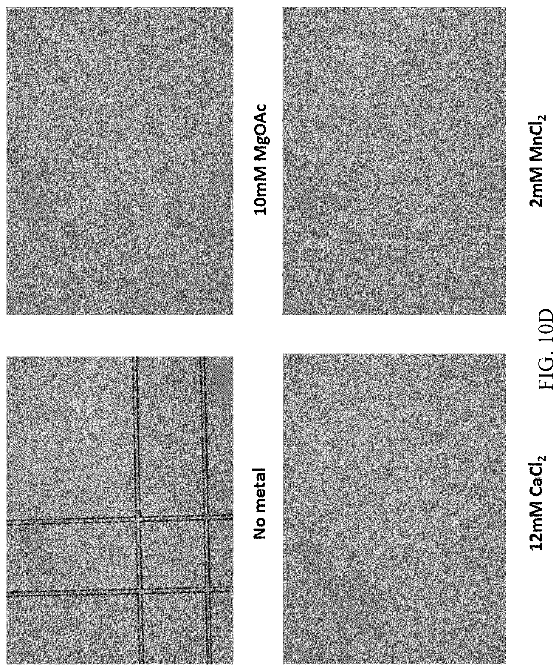 Patent US12618102 Figure 18 – Biochemical reaction methods and reagents comprising intrinsically disordered regions