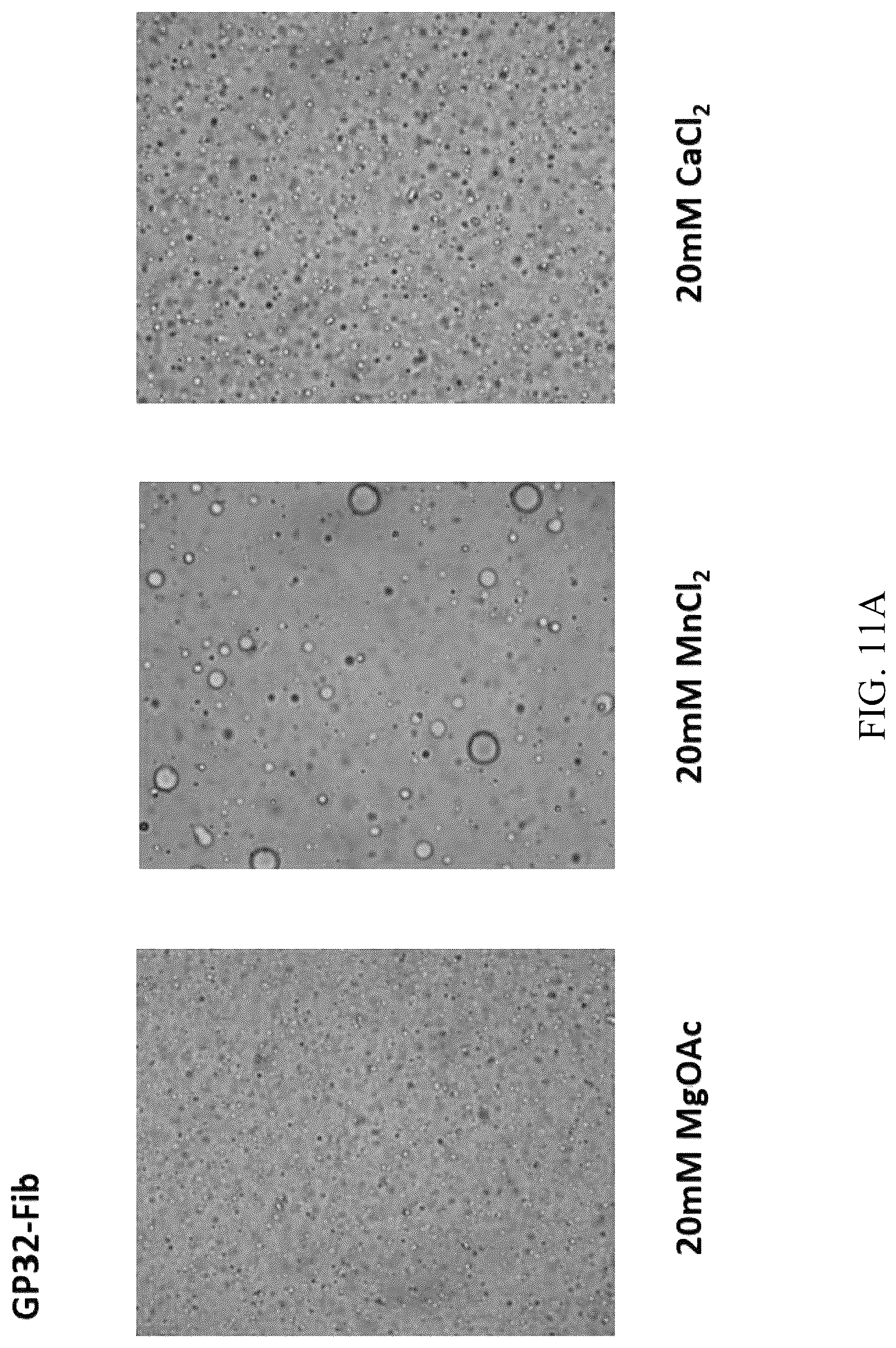 Patent US12618102 Figure 19 – Biochemical reaction methods and reagents comprising intrinsically disordered regions