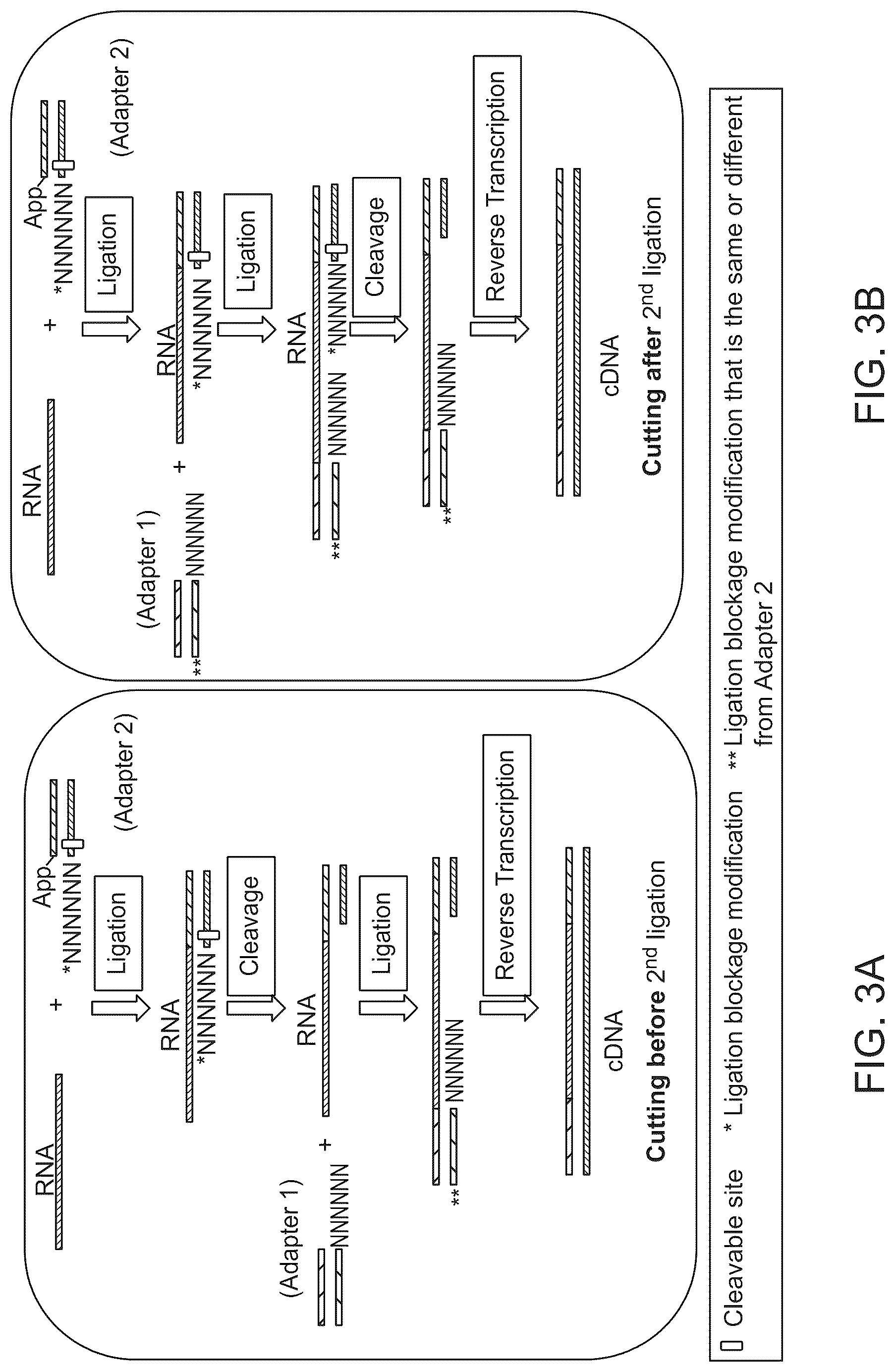 Patent US12618107 Figure 3 – Methods for forming adapter ligated nucleic acid molecules