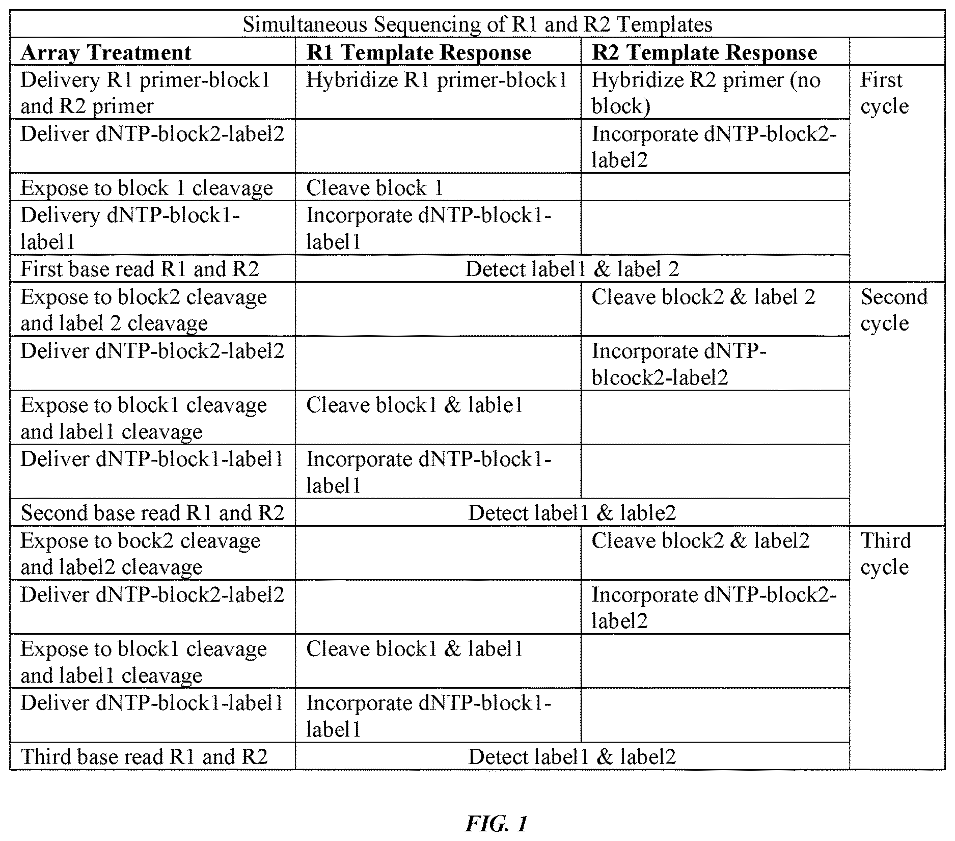 Patent US12618109 Figure 1 – Orthogonal deblocking of nucleotides
