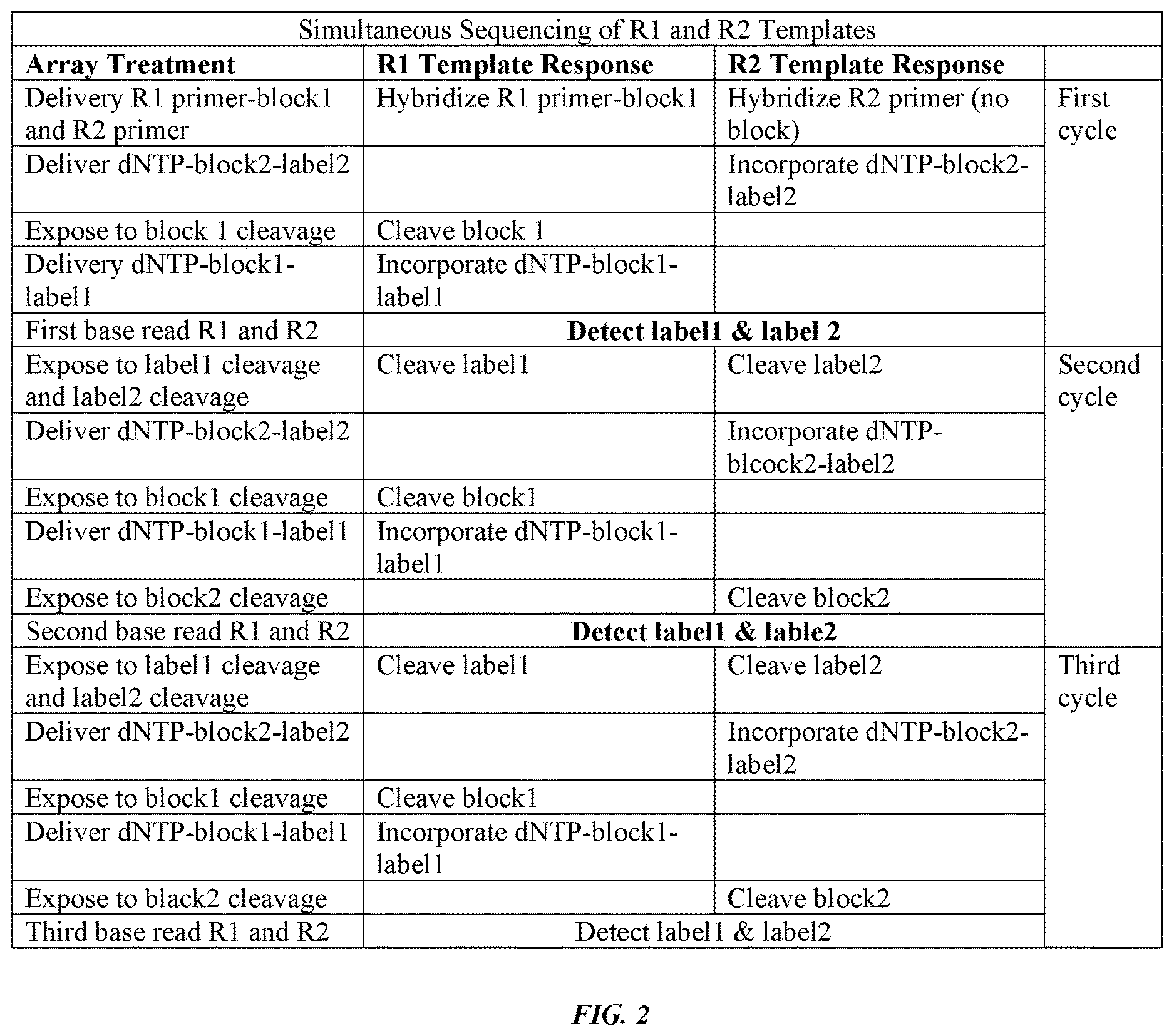 Patent US12618109 Figure 2 – Orthogonal deblocking of nucleotides