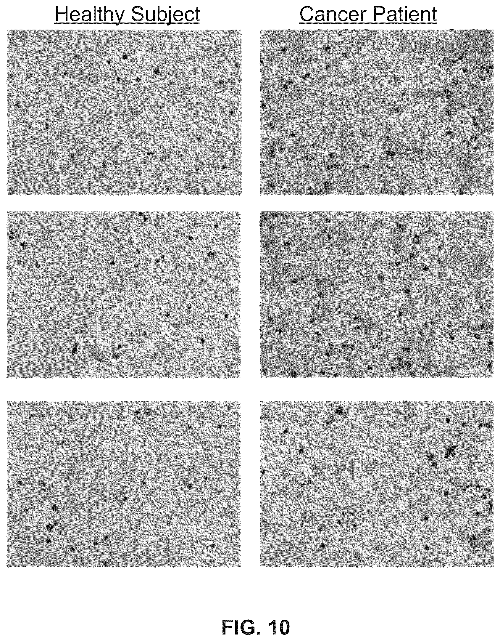 Patent US12618114 Figure 13 – Method for identifying cancer in a subject