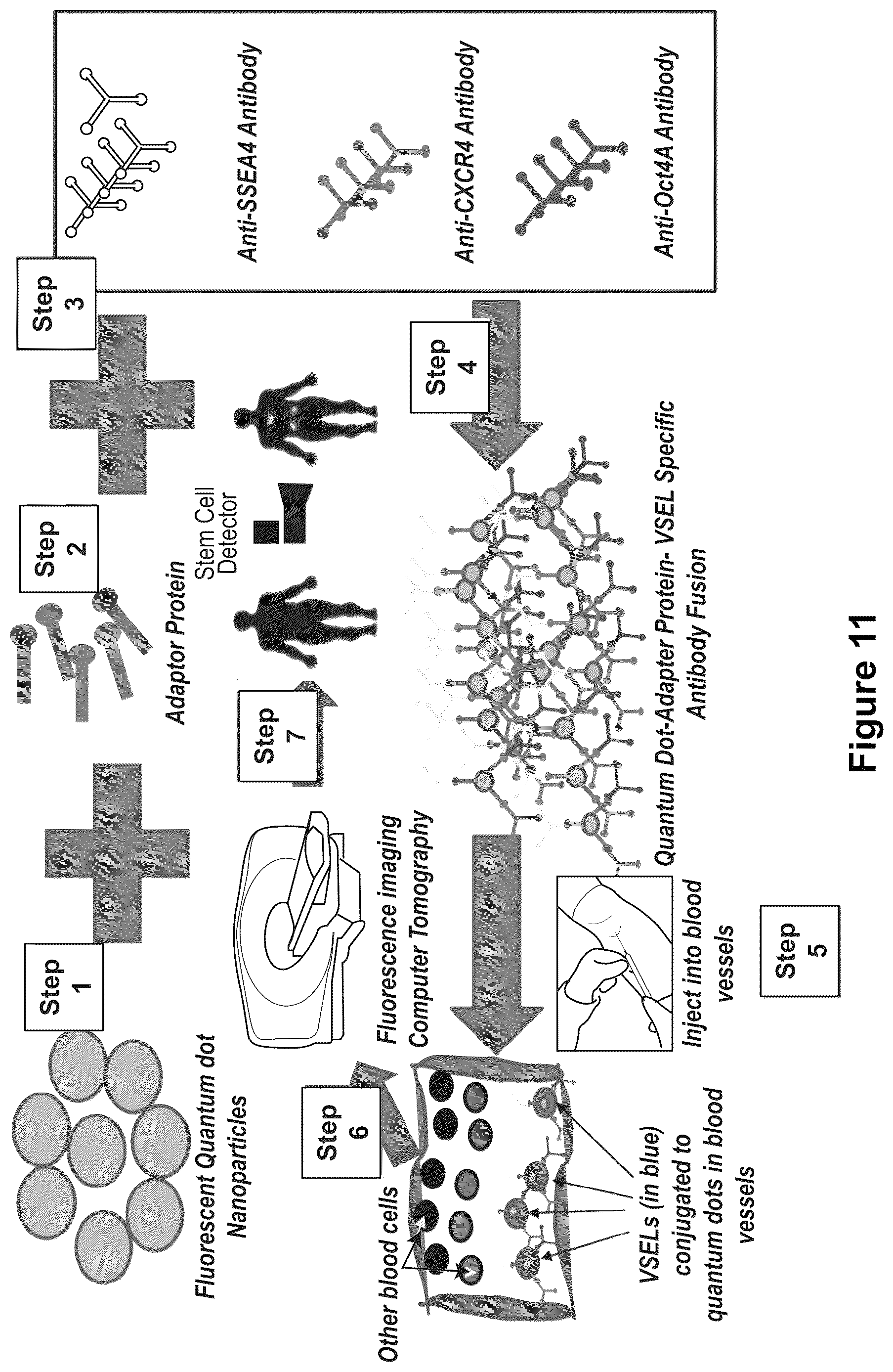 Patent US12618114 Figure 14 – Method for identifying cancer in a subject