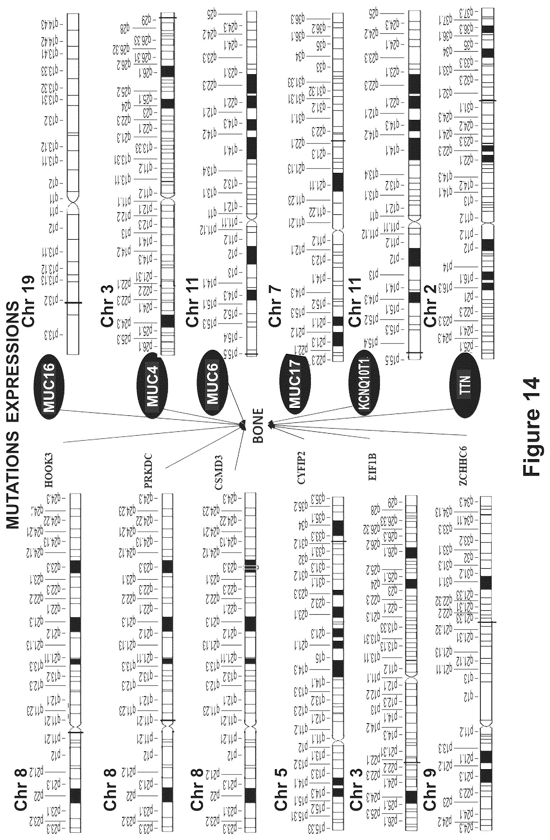 Patent US12618114 Figure 19 – Method for identifying cancer in a subject