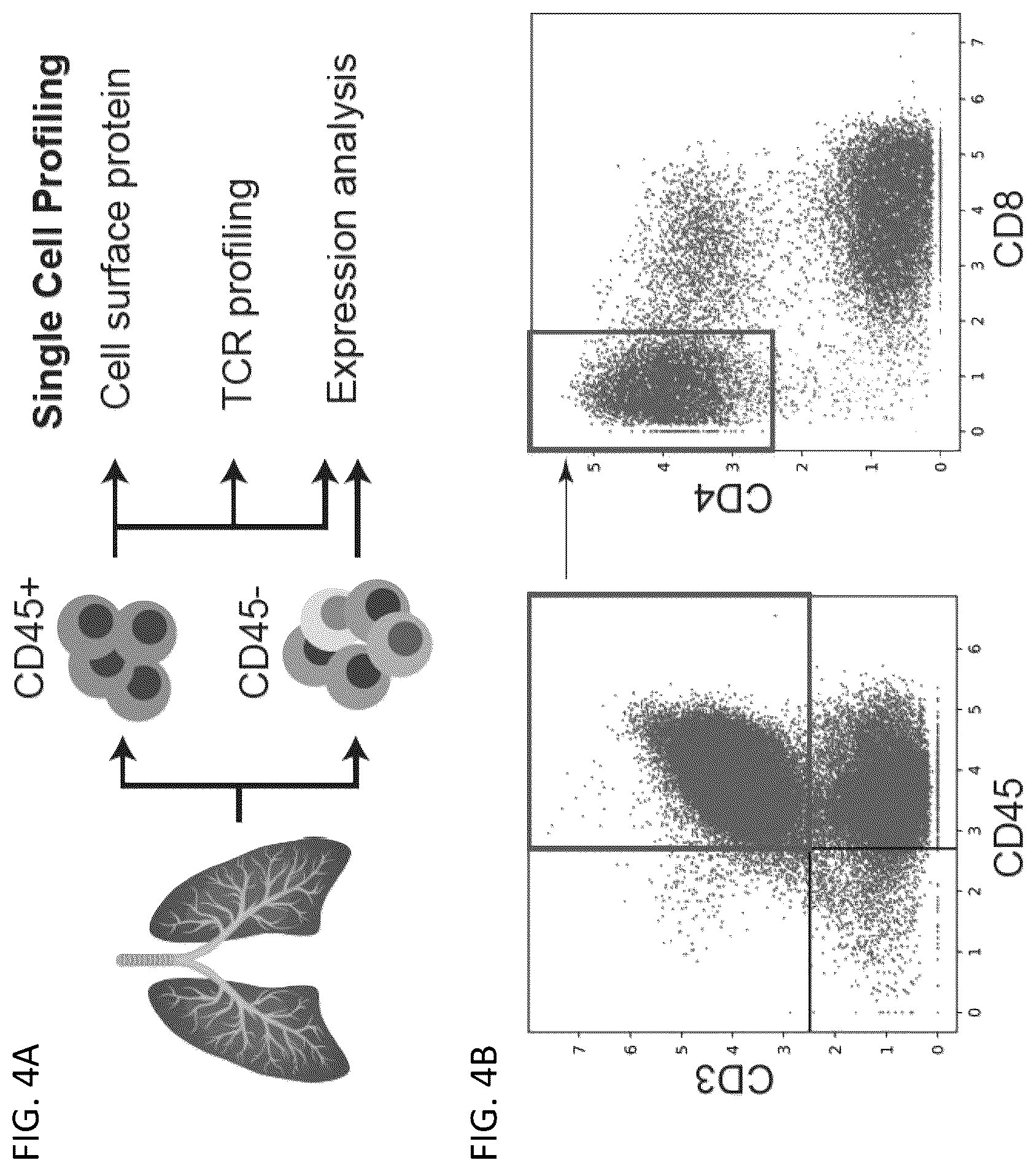 Patent US12618115 Figure 5 – Determination of cytotoxic gene signature and associated systems and methods for response prediction and treatment