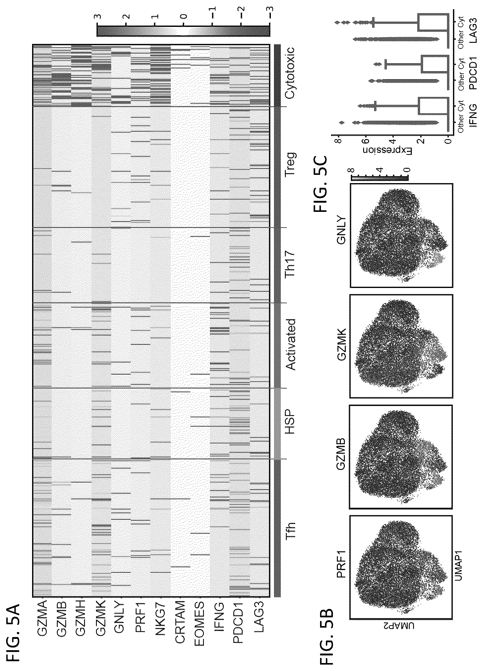 Patent US12618115 Figure 7 – Determination of cytotoxic gene signature and associated systems and methods for response prediction and treatment
