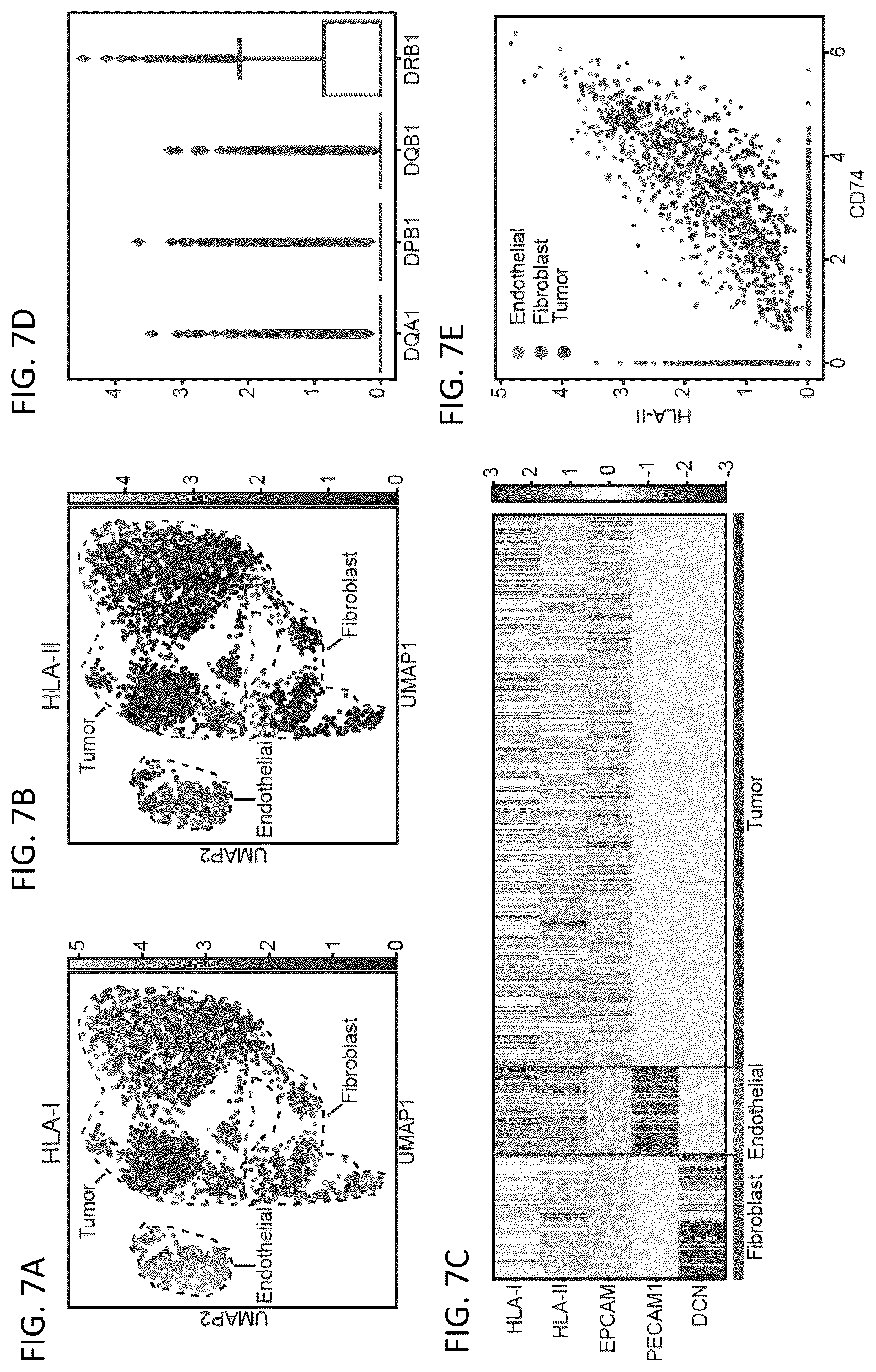 Patent US12618115 Figure 9 – Determination of cytotoxic gene signature and associated systems and methods for response prediction and treatment