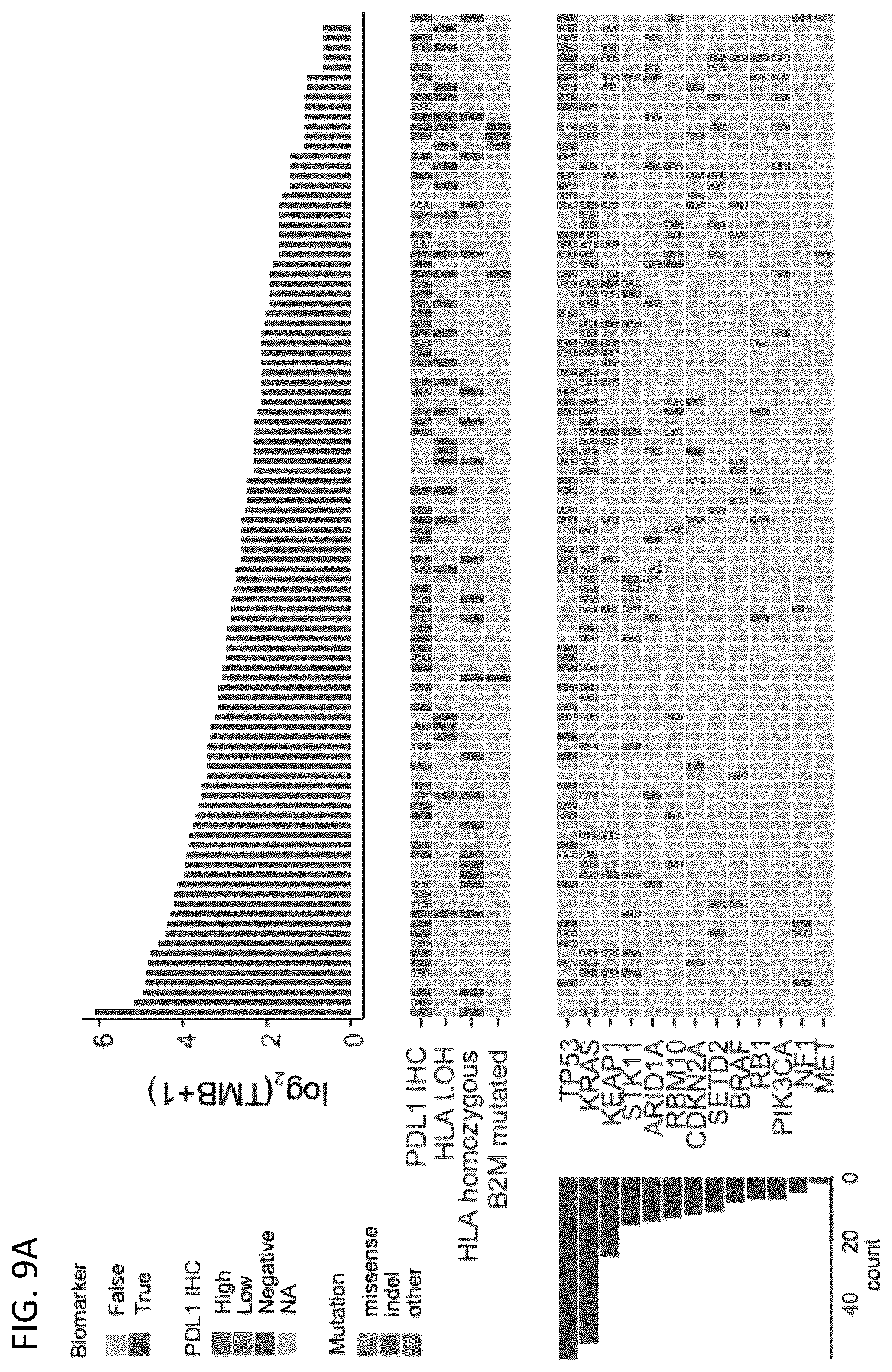 Patent US12618115 Figure 12 – Determination of cytotoxic gene signature and associated systems and methods for response prediction and treatment