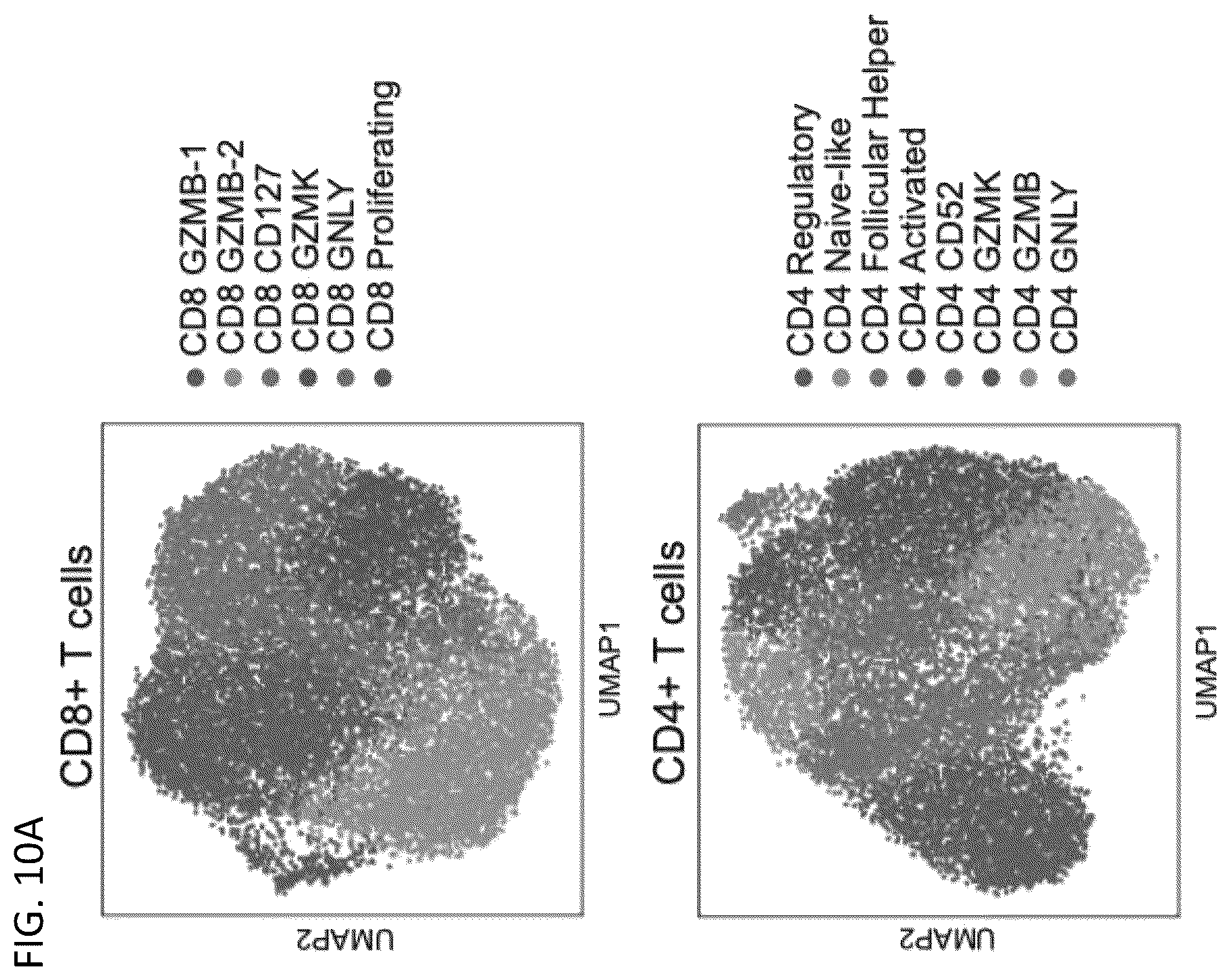Patent US12618115 Figure 14 – Determination of cytotoxic gene signature and associated systems and methods for response prediction and treatment