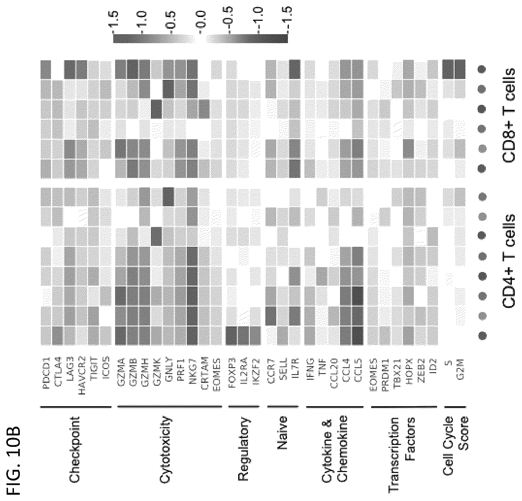 Patent US12618115 Figure 15 – Determination of cytotoxic gene signature and associated systems and methods for response prediction and treatment