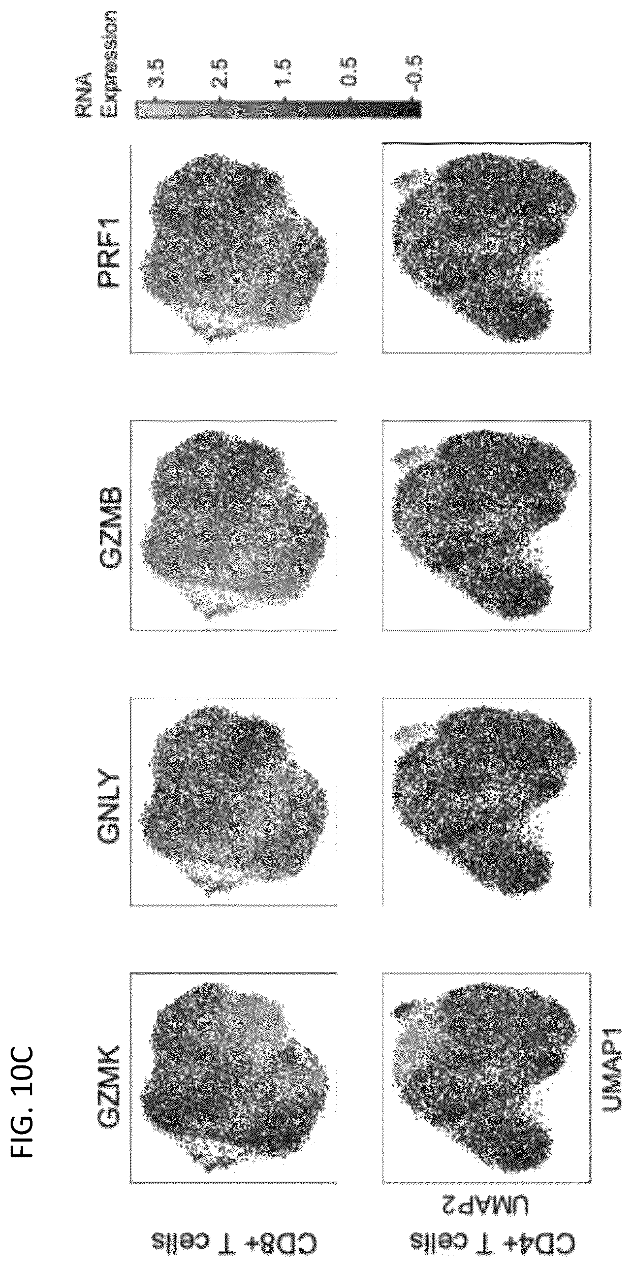 Patent US12618115 Figure 16 – Determination of cytotoxic gene signature and associated systems and methods for response prediction and treatment