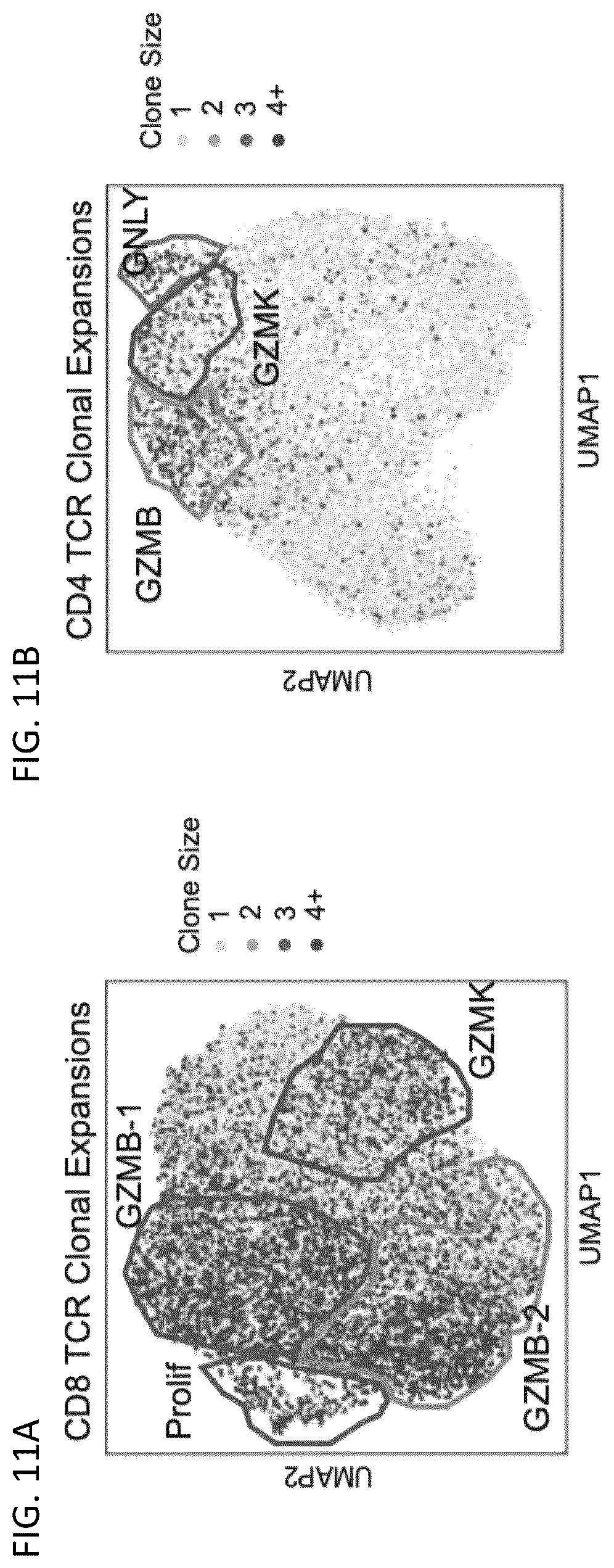 Patent US12618115 Figure 18 – Determination of cytotoxic gene signature and associated systems and methods for response prediction and treatment