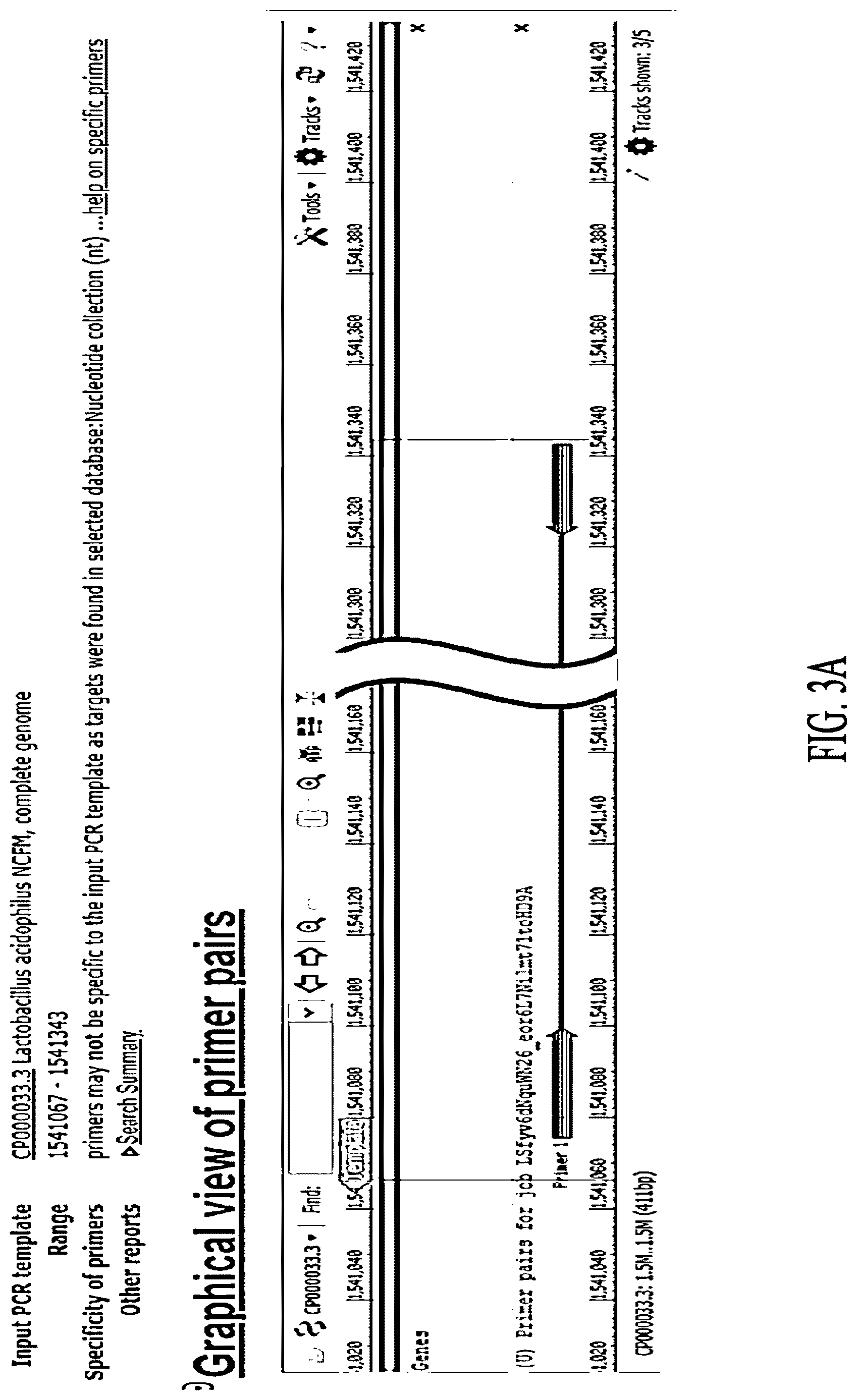 Patent US12618117 Figure 3 – Composition for discriminating Lactobacillus acidophilus strains and discrimination method using same