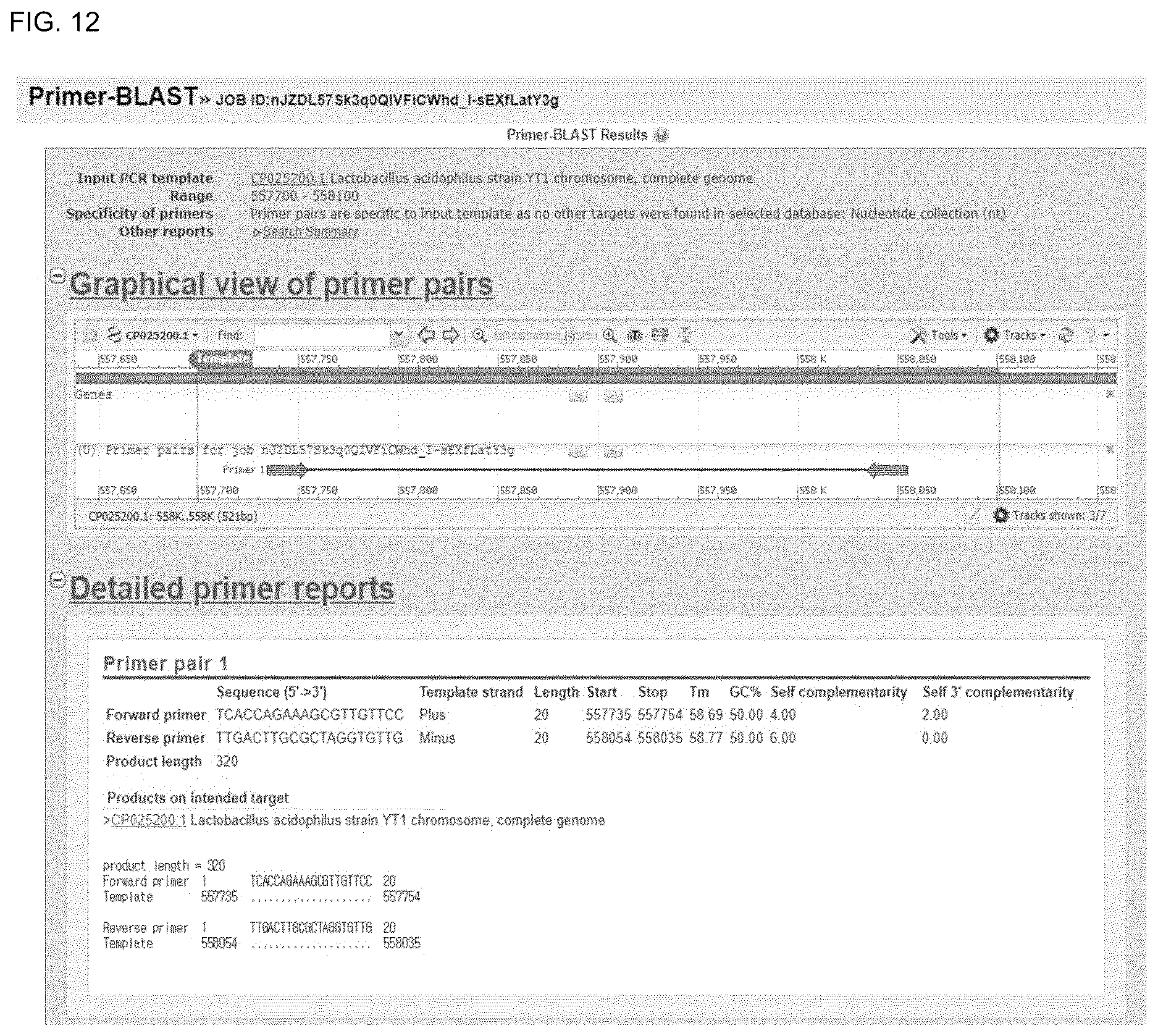 Patent US12618117 Figure 15 – Composition for discriminating Lactobacillus acidophilus strains and discrimination method using same