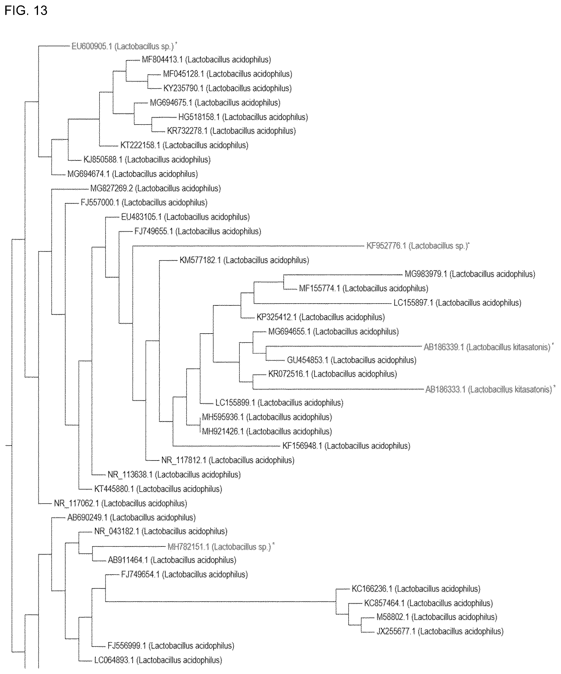 Patent US12618117 Figure 16 – Composition for discriminating Lactobacillus acidophilus strains and discrimination method using same