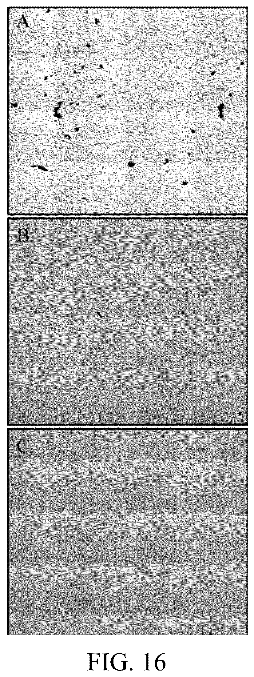 Patent US12618124 Figure 15 – Oxidation resistant high conductivity copper alloys