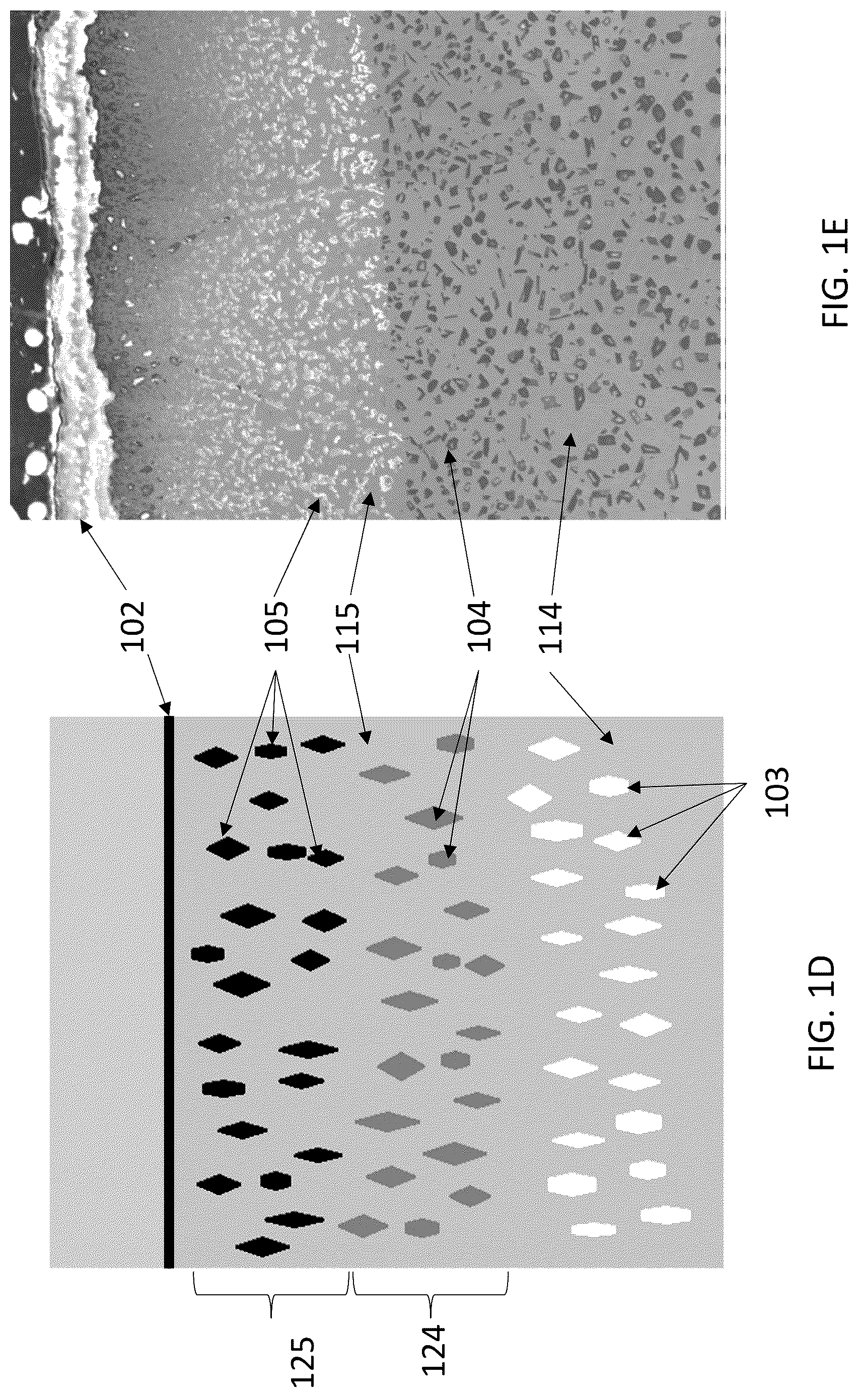 Patent US12618126 Figure 2 – Chromium-molybdenum-aluminum alloys with oxidation-resistance imparted by thermal pre-treatment