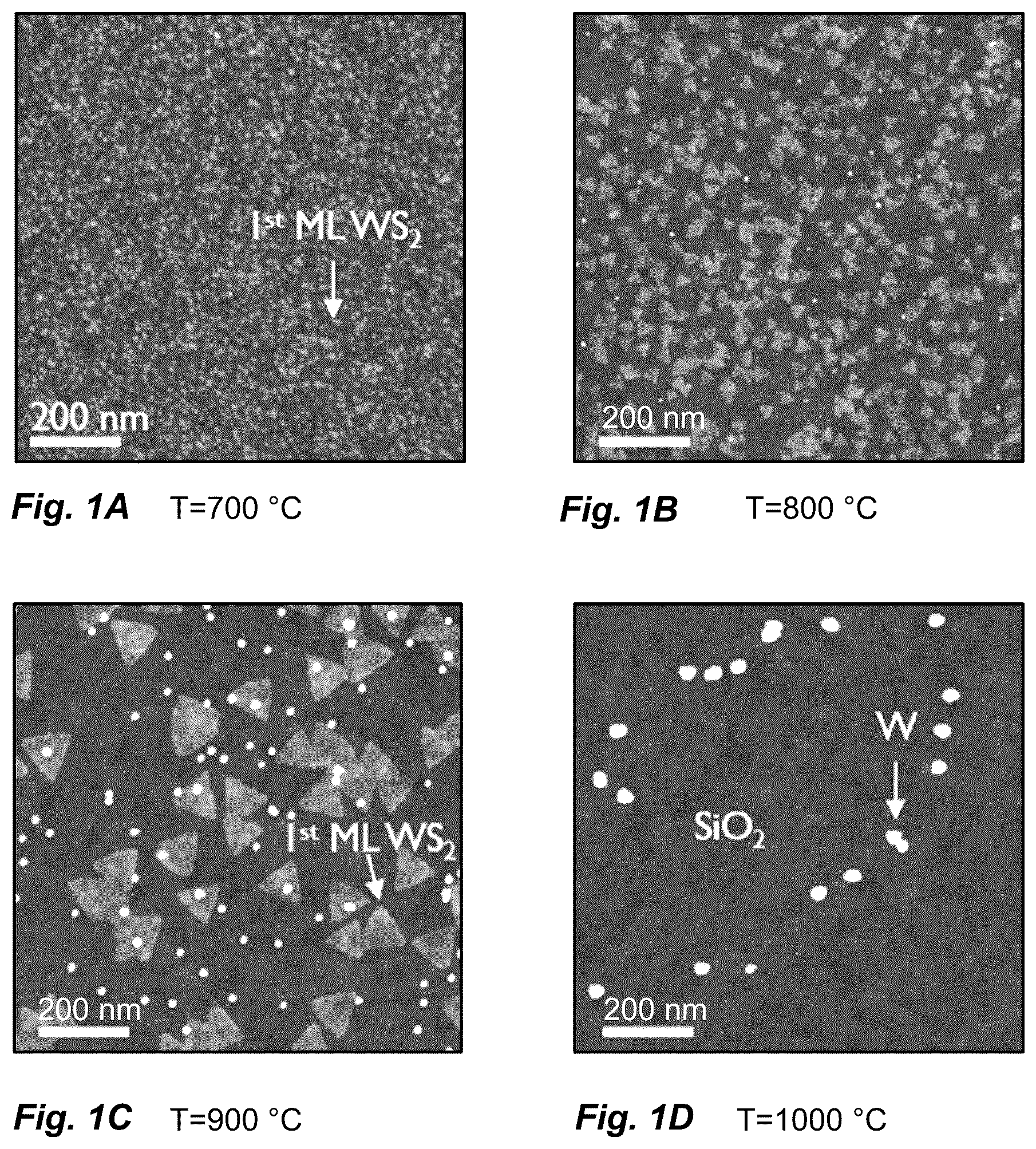 Patent US12618152 Figure 1 – Method of depositing a transition metal dichalcogenide