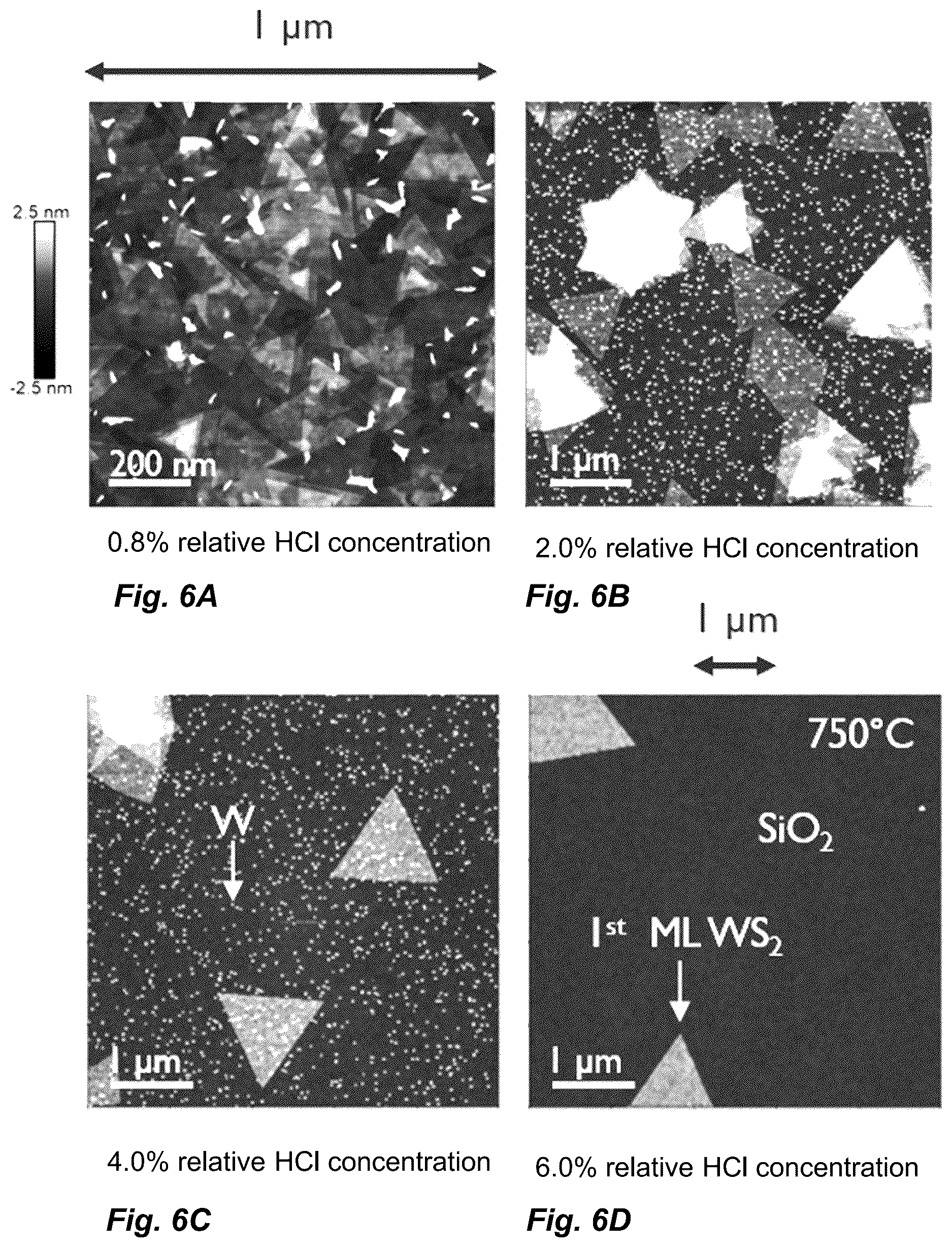 Patent US12618152 Figure 5 – Method of depositing a transition metal dichalcogenide