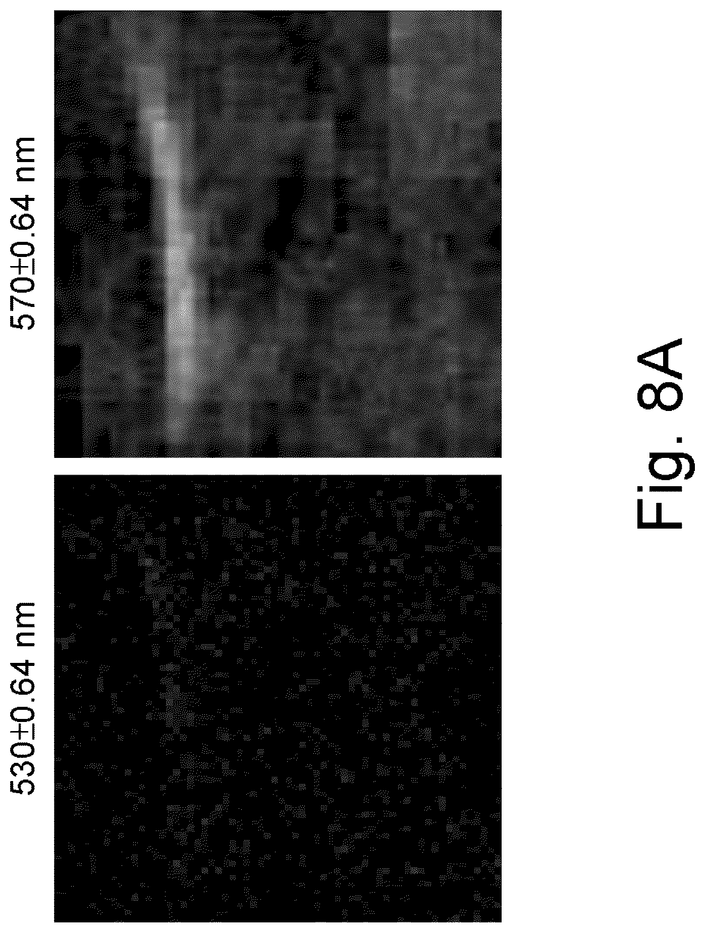 Patent US12618713 Figure 8 – Wide-field spectral imaging system